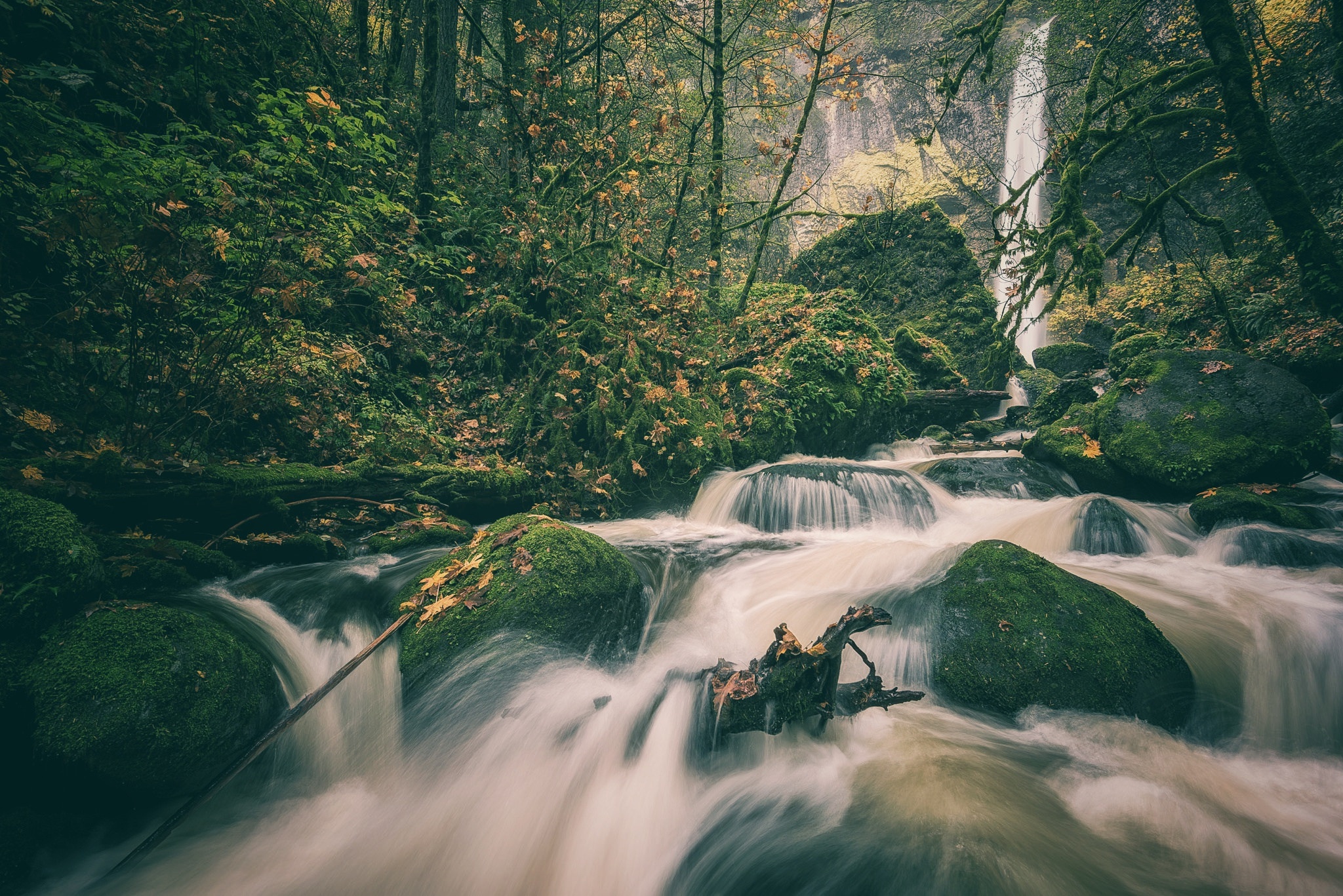 Handy-Wallpaper Natur, Herbst, Wasserfälle, Wasserfall, Wald, Moos, Strom, Erde/natur kostenlos herunterladen.