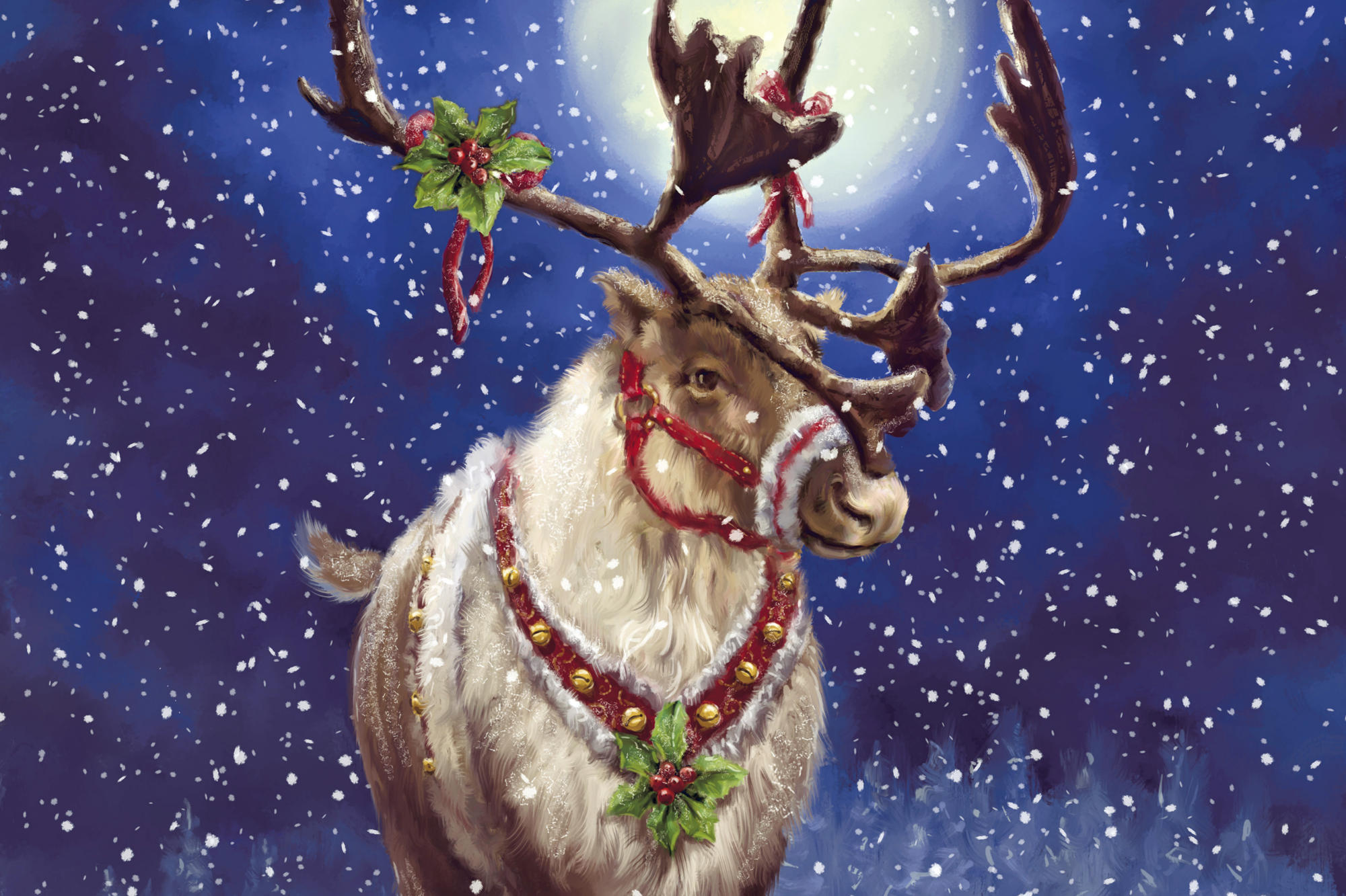 reindeer, holiday, christmas