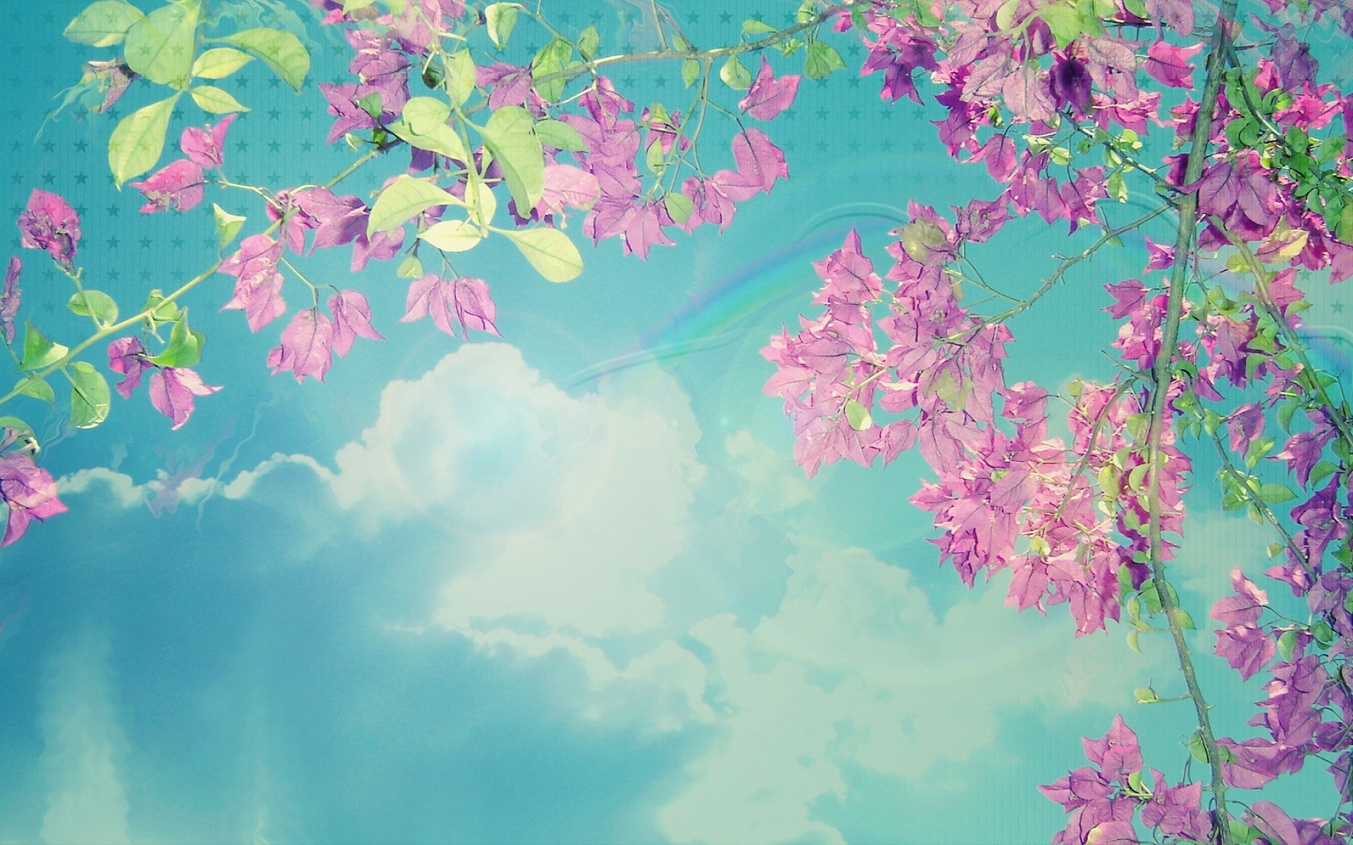 無料モバイル壁紙フラワーズ, ピンク, 花, 青い, ブランチ, 地球, 空をダウンロードします。