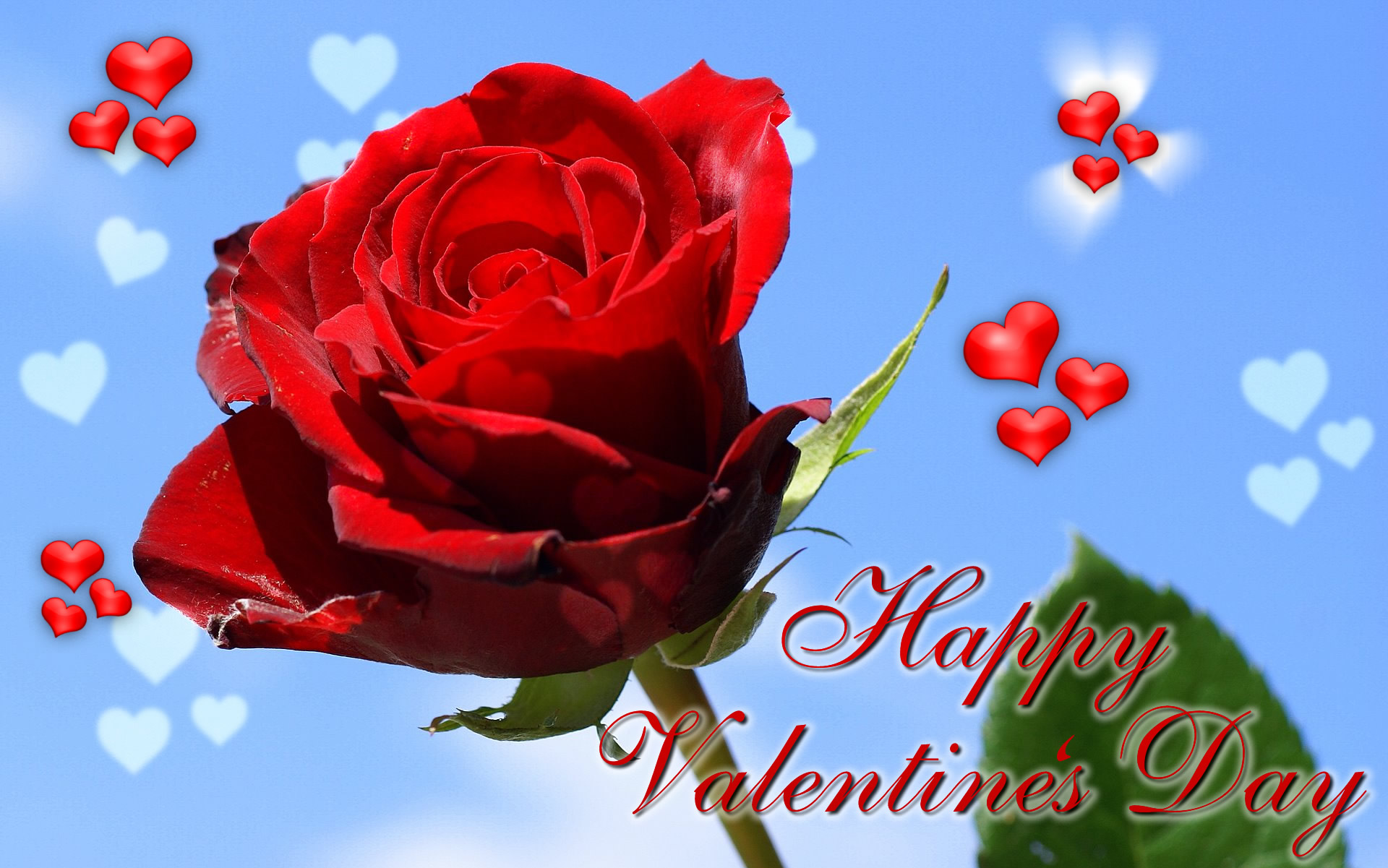 Free download wallpaper Valentine's Day, Flower, Rose, Holiday, Heart, Red Rose, Happy Valentine's Day on your PC desktop