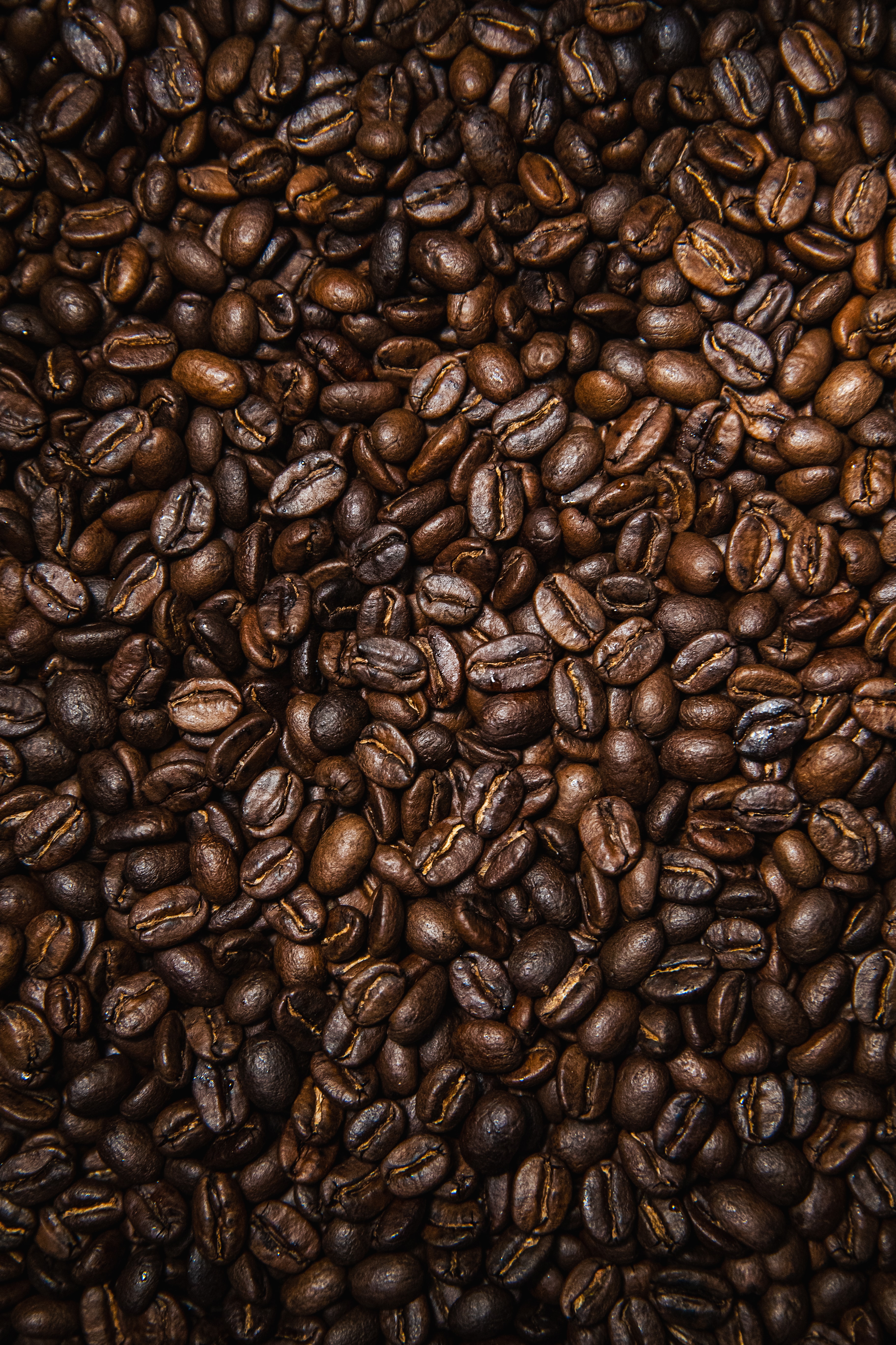 food, coffee, texture, brown, grains, coffee beans, grain