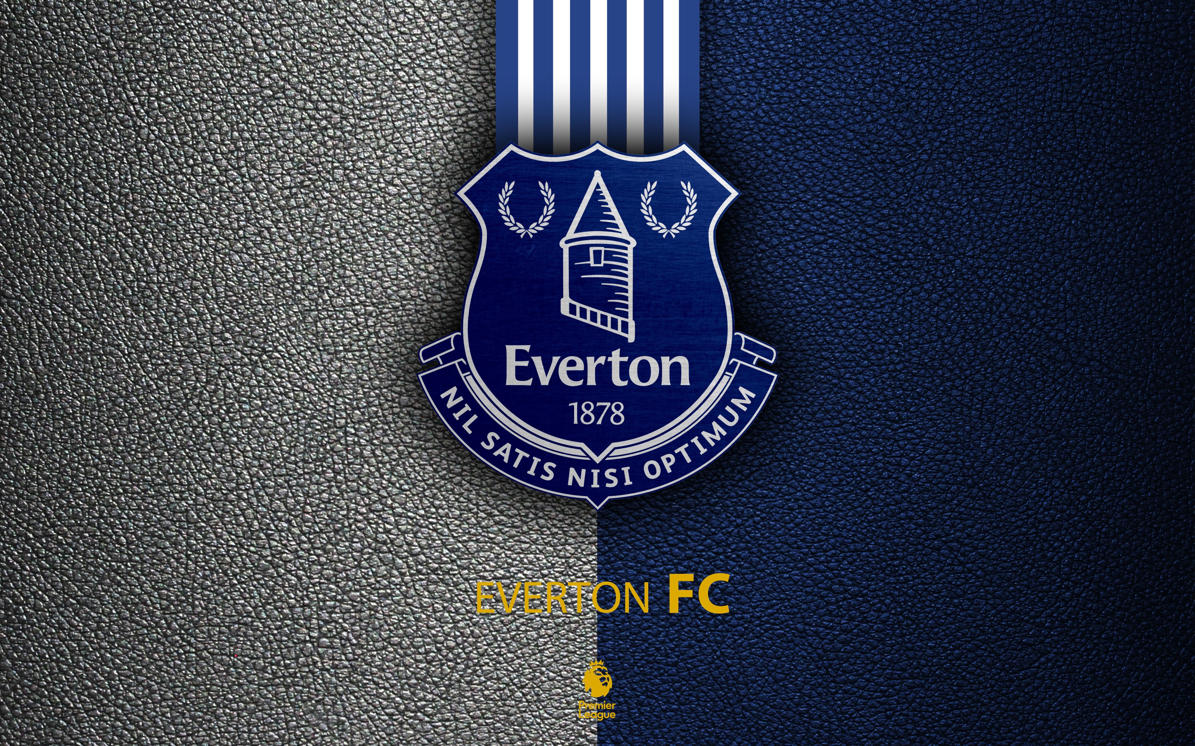 504089 Salvapantallas y fondos de pantalla Everton Fc en tu teléfono. Descarga imágenes de  gratis