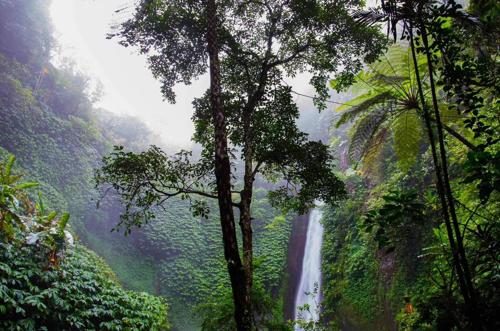 Free download wallpaper Waterfalls, Waterfall, Forest, Tree, Earth, Rainforest on your PC desktop
