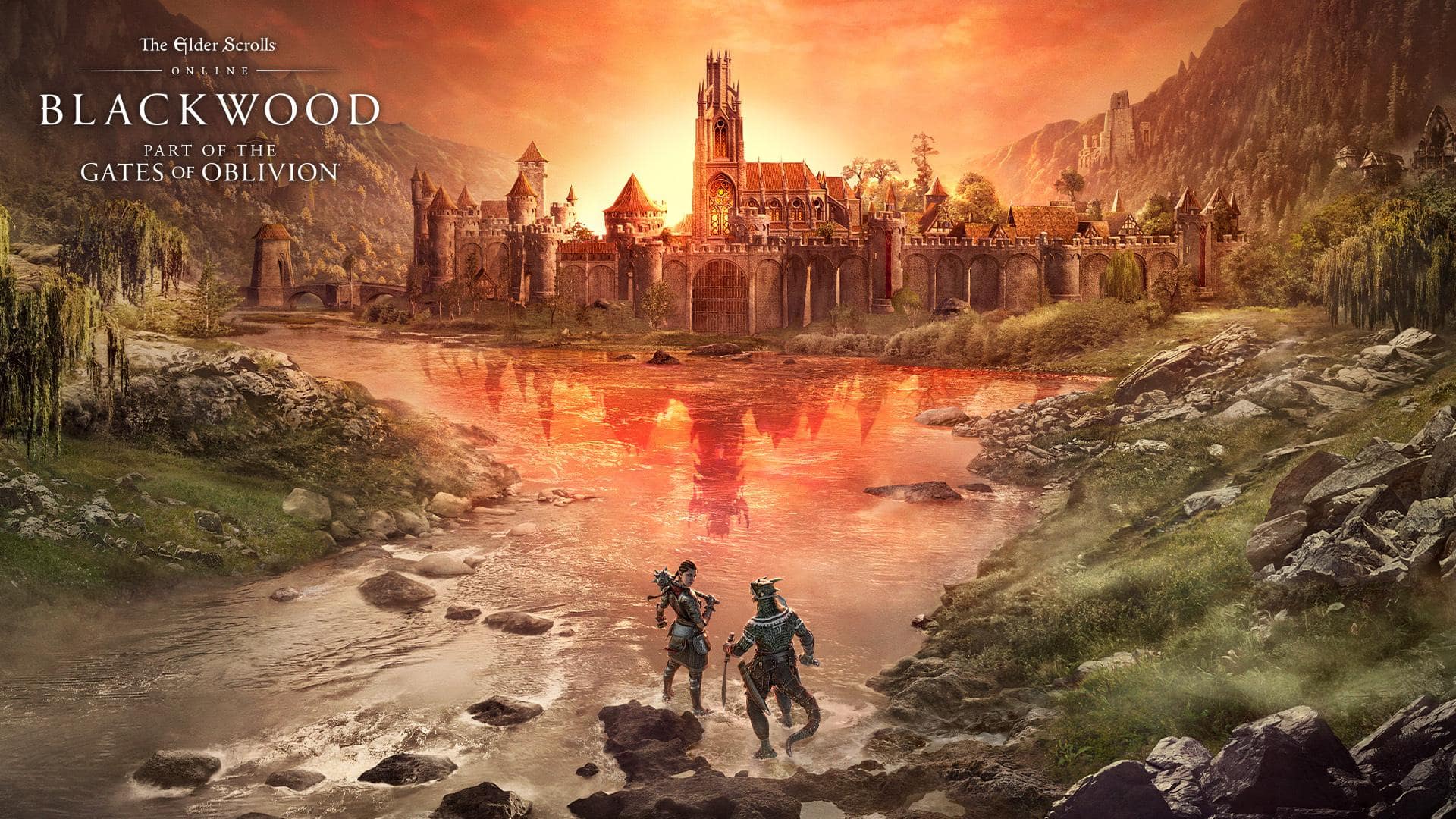 Скачать обои The Elder Scrolls Online: Блэквуд на телефон бесплатно