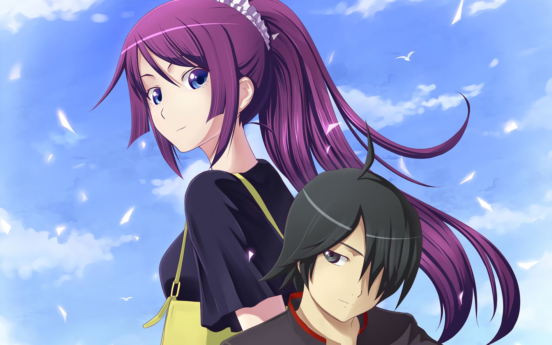 Free download wallpaper Anime, Monogatari (Series), Hitagi Senjōgahara on your PC desktop