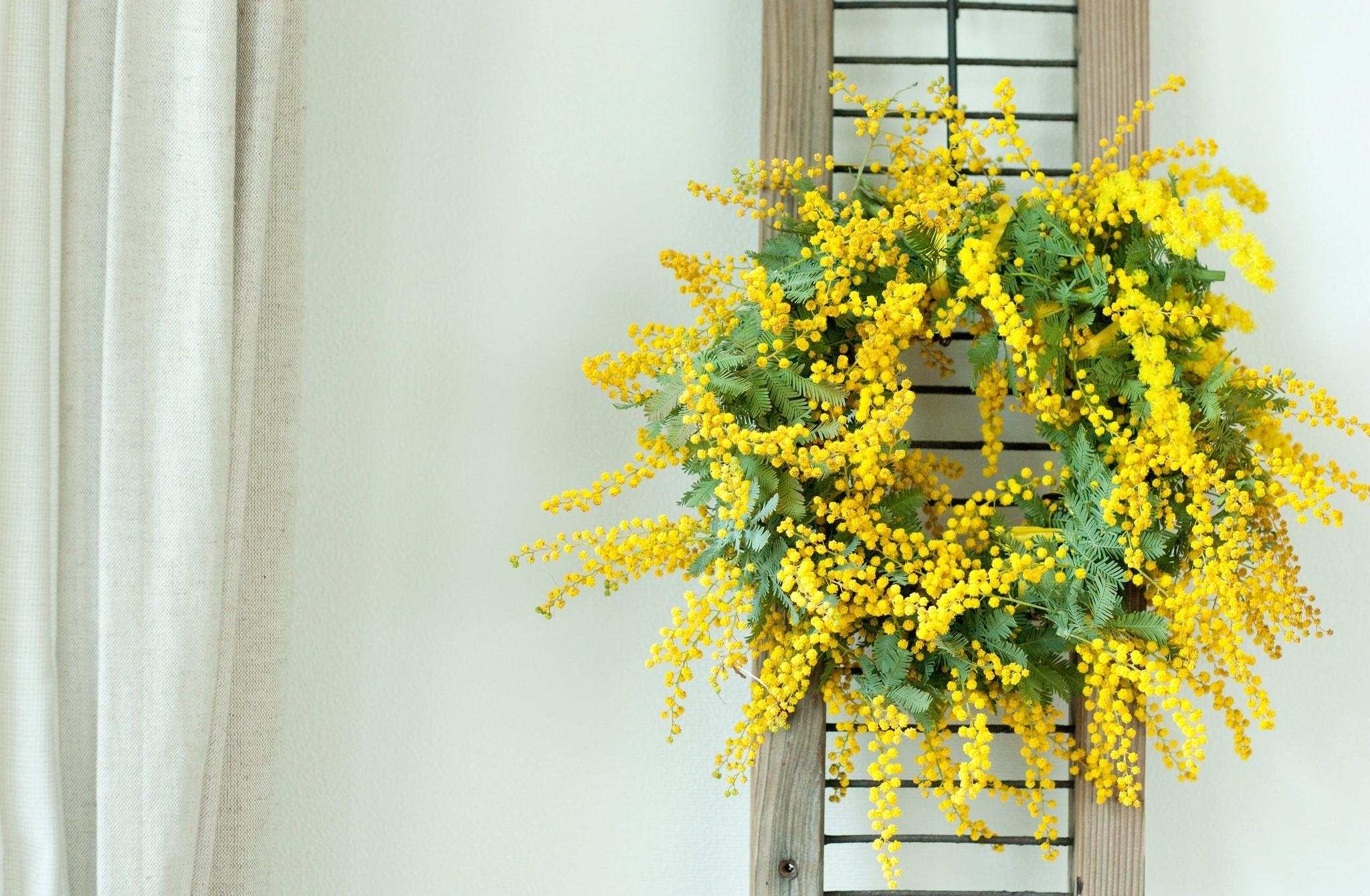 flowers, yellow, wall, wreath, mimosa