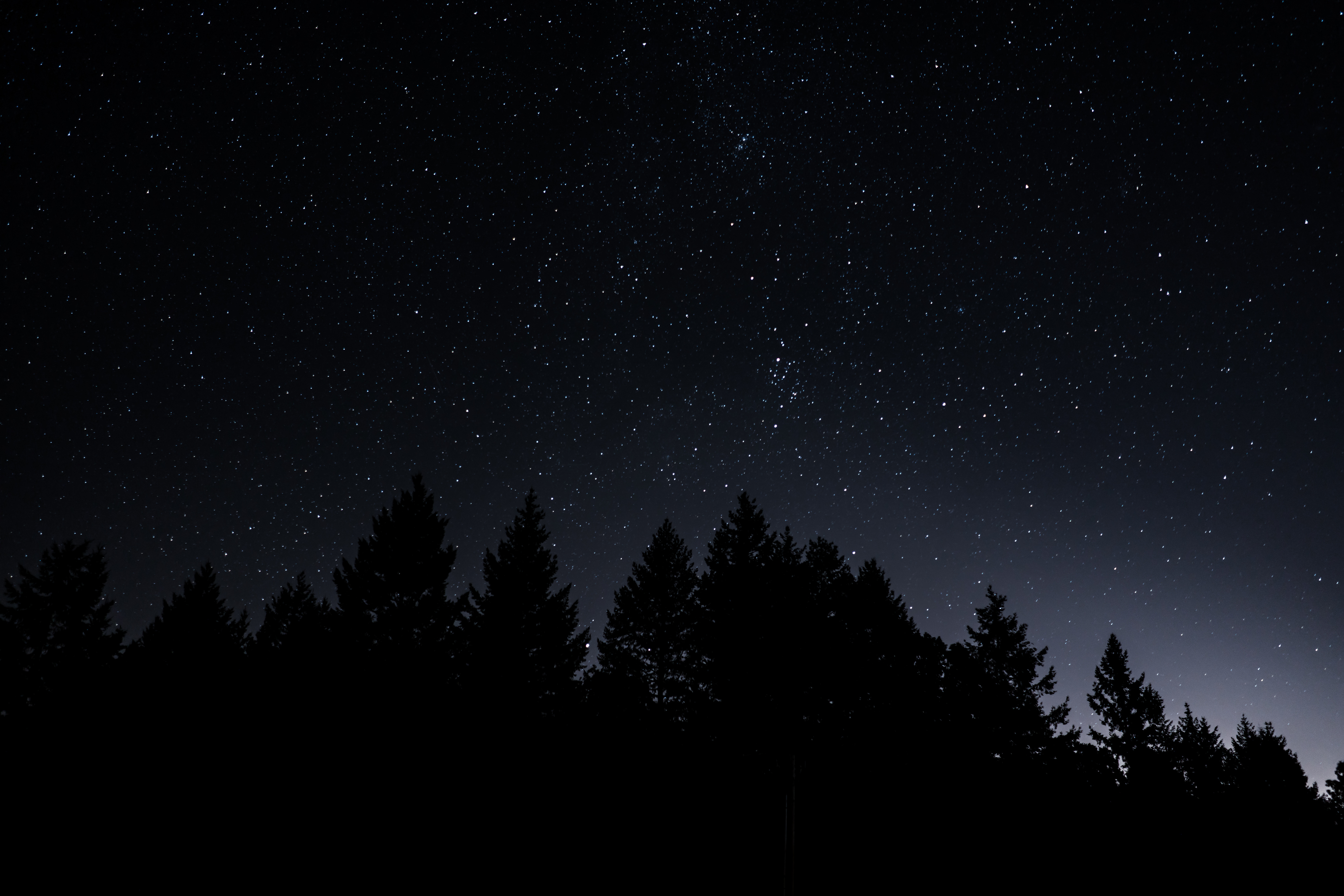 Download mobile wallpaper Trees, Nature, Starry Sky, Night, Shining for free.
