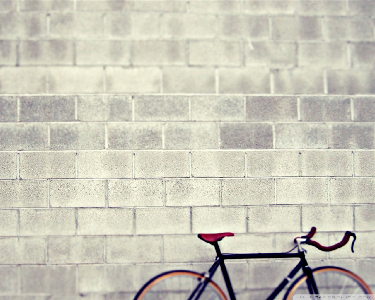 Téléchargez des papiers peints mobile Vélo, Véhicules gratuitement.