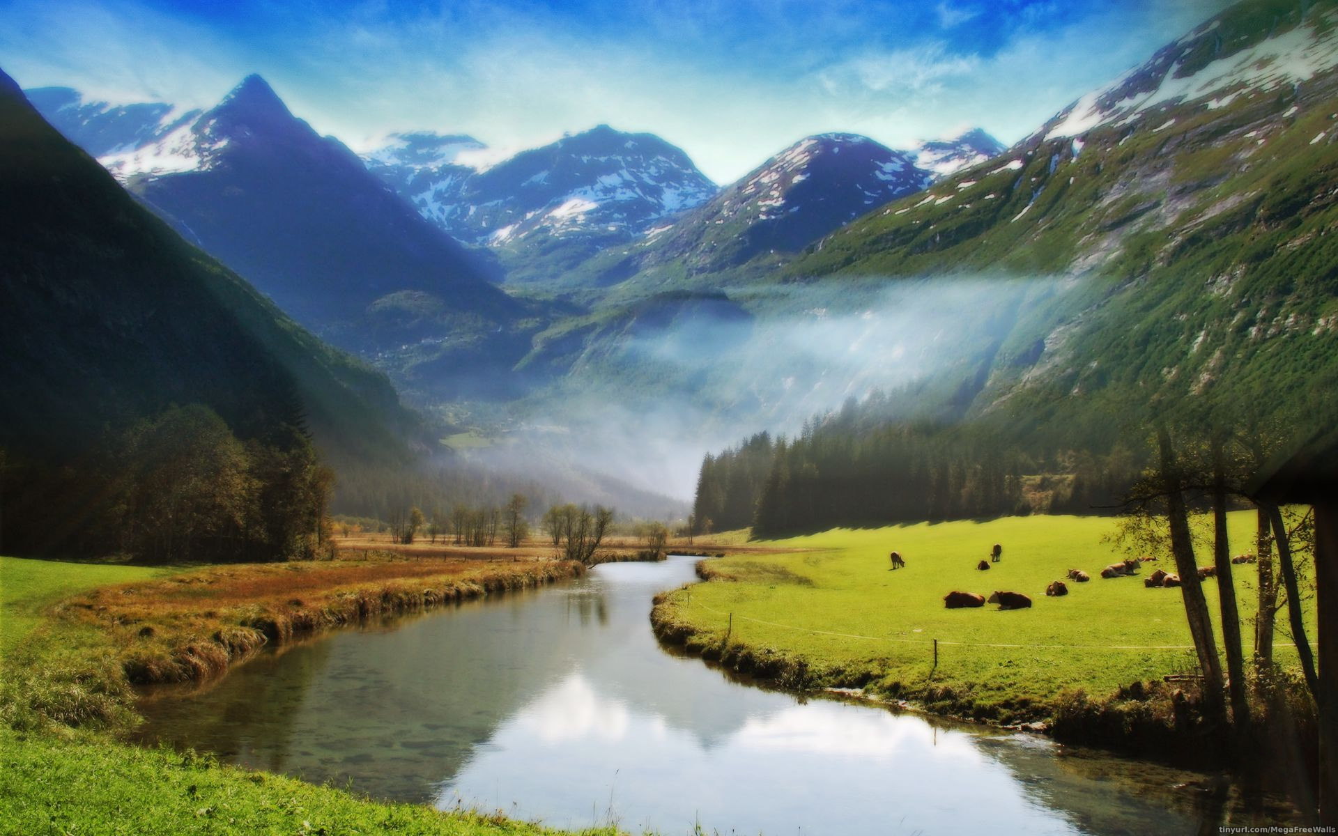 Download mobile wallpaper Landscape, Water, Grass, Mountain, Tree, Fog, Earth, Hdr, River, Cow for free.