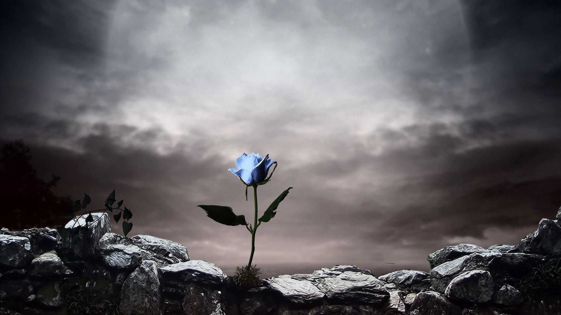 Download mobile wallpaper Rose, Stone, Artistic, Cloud, Blue Flower for free.