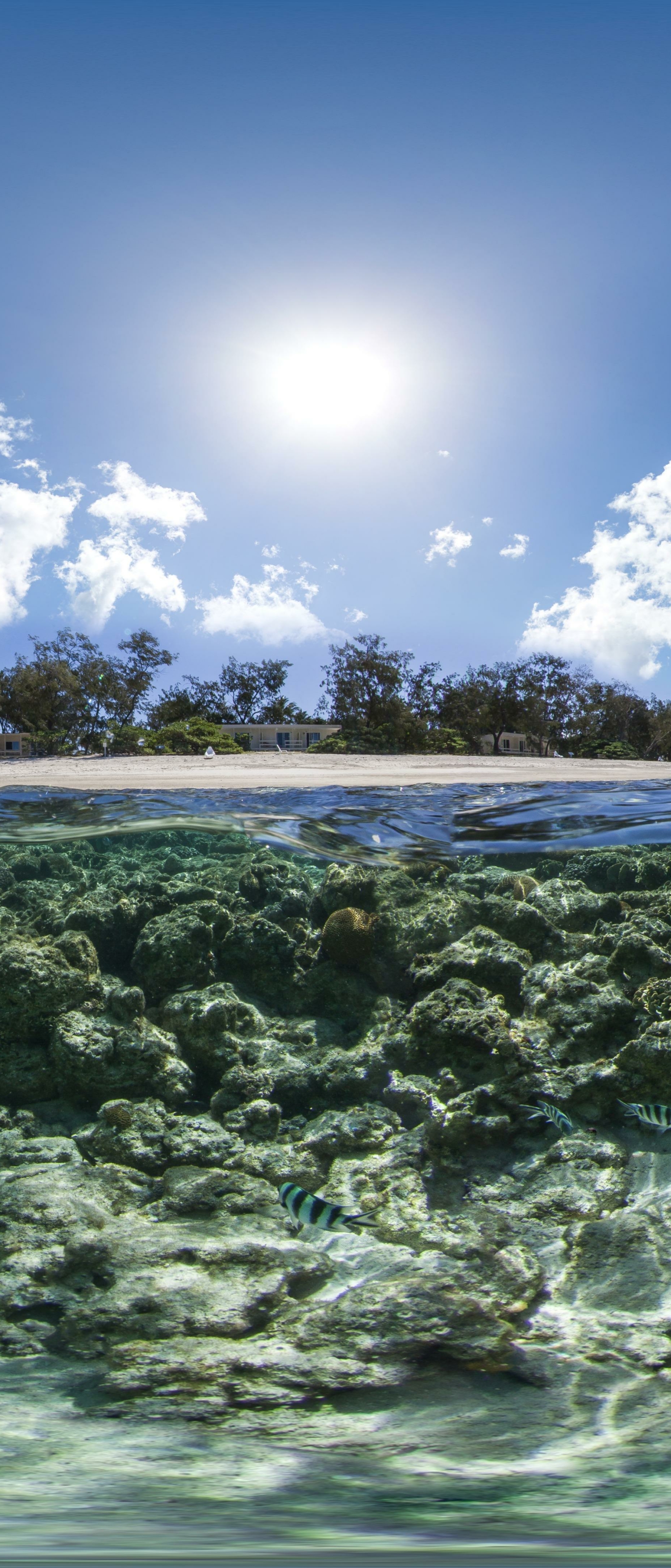 Download mobile wallpaper Earth, Underwater, Australia, Great Barrier Reef for free.