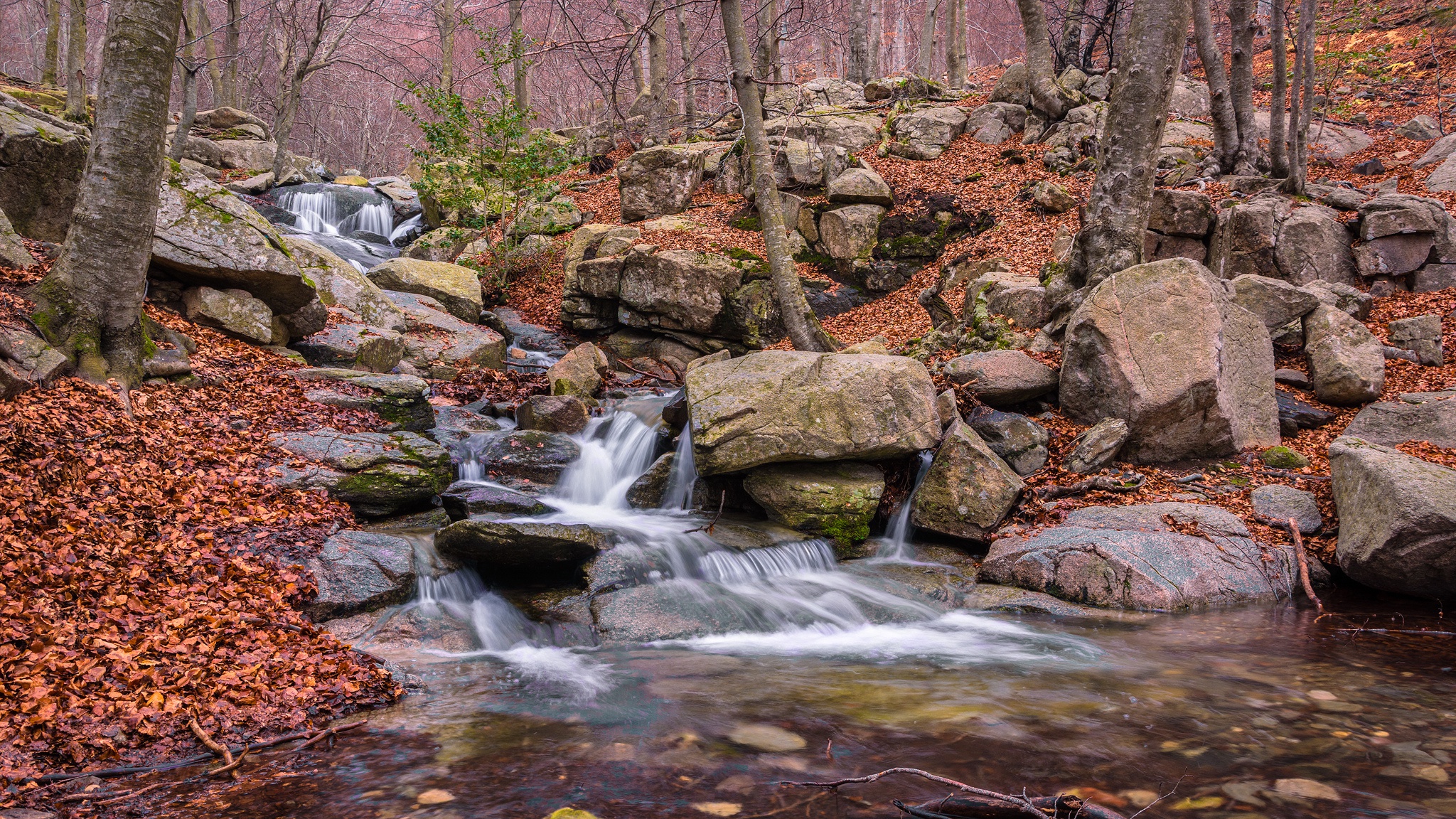 Laden Sie das Natur, Herbst, Strom, Erde/natur-Bild kostenlos auf Ihren PC-Desktop herunter