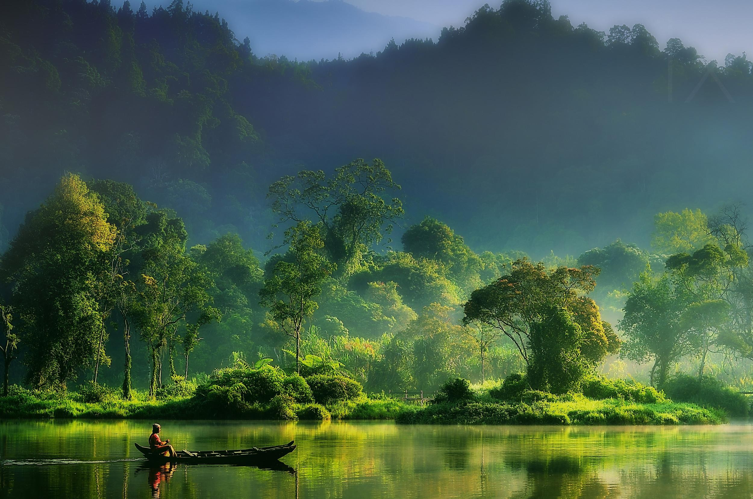 Laden Sie das Natur, Baum, Fluss, Fotografie-Bild kostenlos auf Ihren PC-Desktop herunter