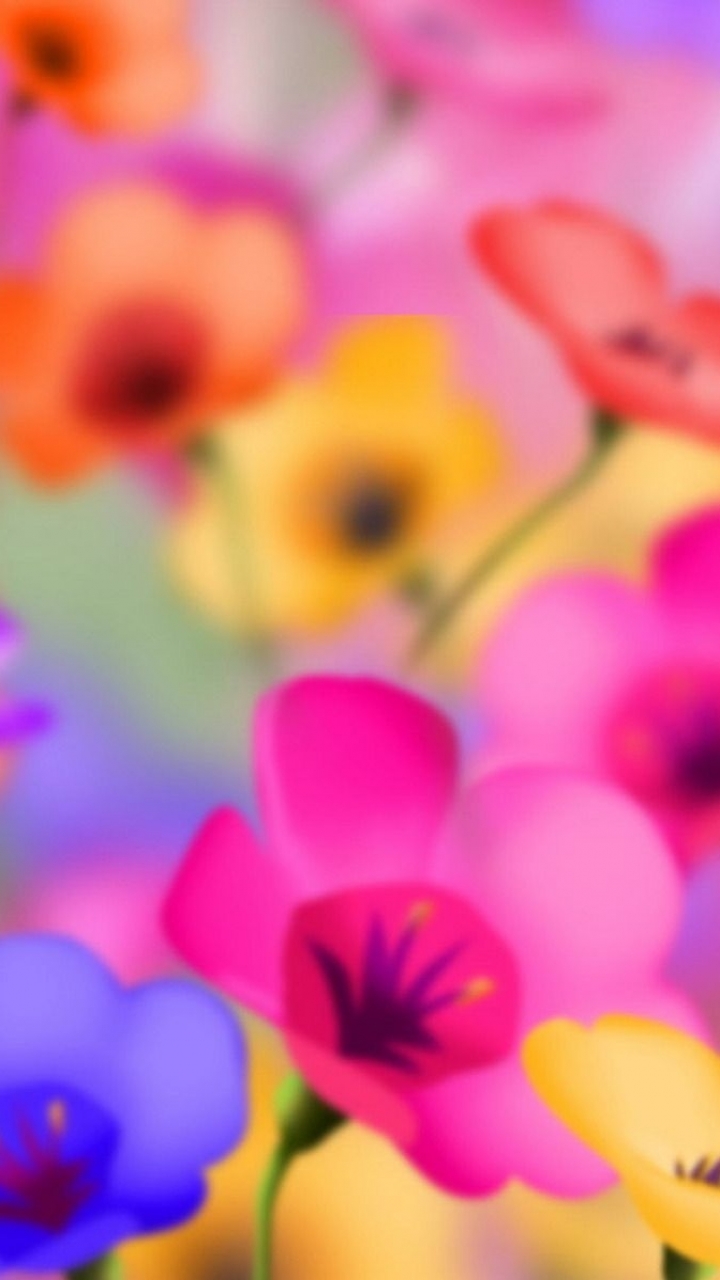 Download mobile wallpaper Flowers, Flower, Earth for free.