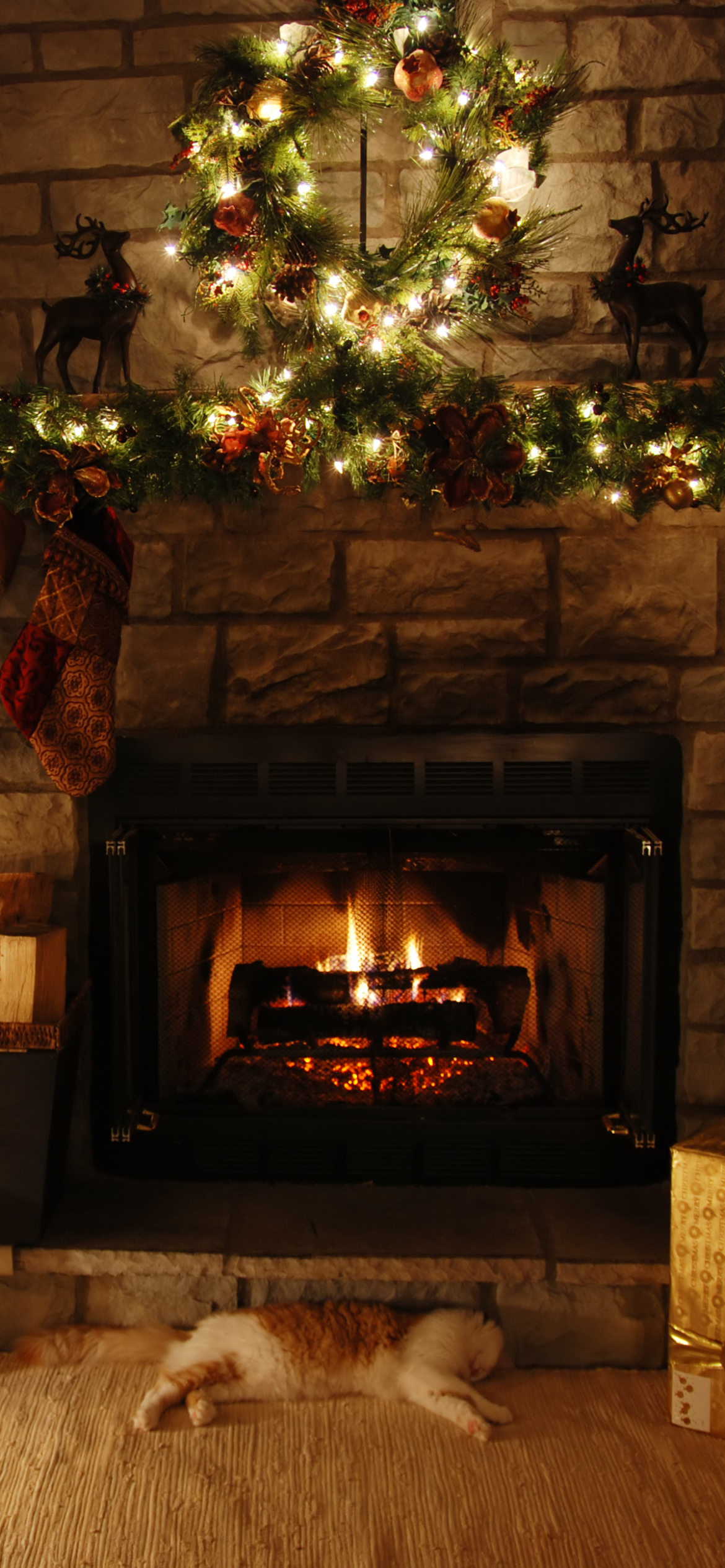 Download mobile wallpaper Cat, Christmas, Holiday, Fireplace for free.