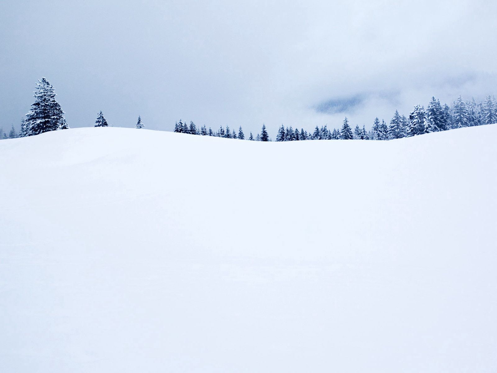 148170 Hintergrundbild herunterladen winter, schnee, minimalismus, feld, aß, aßen, startseite, cover - Bildschirmschoner und Bilder kostenlos