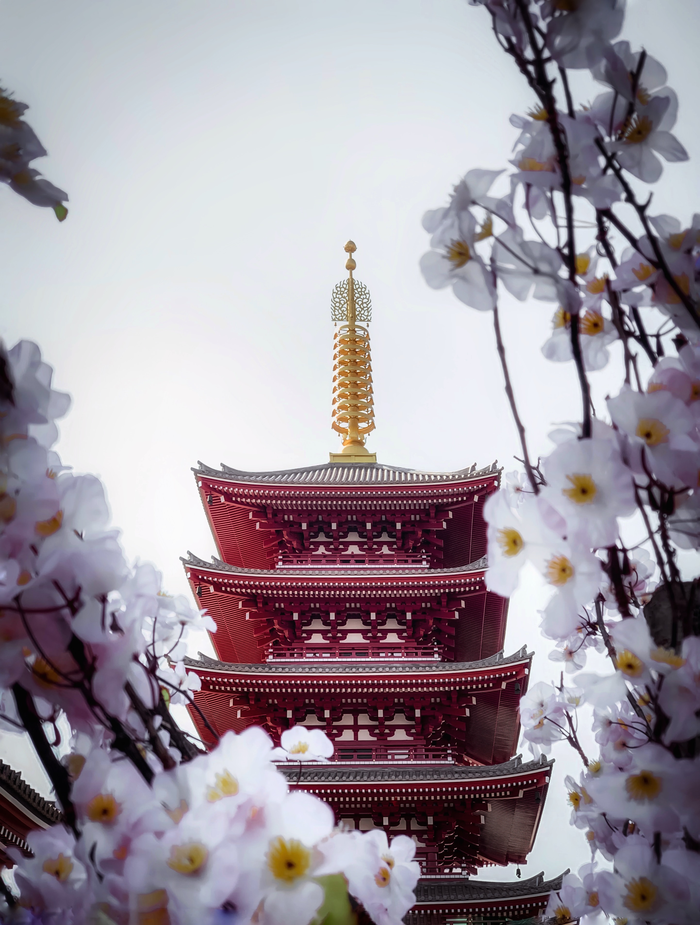 Скачать обои бесплатно Пагода, Здание, Разное, Храм, Цветы, Сакура картинка на рабочий стол ПК