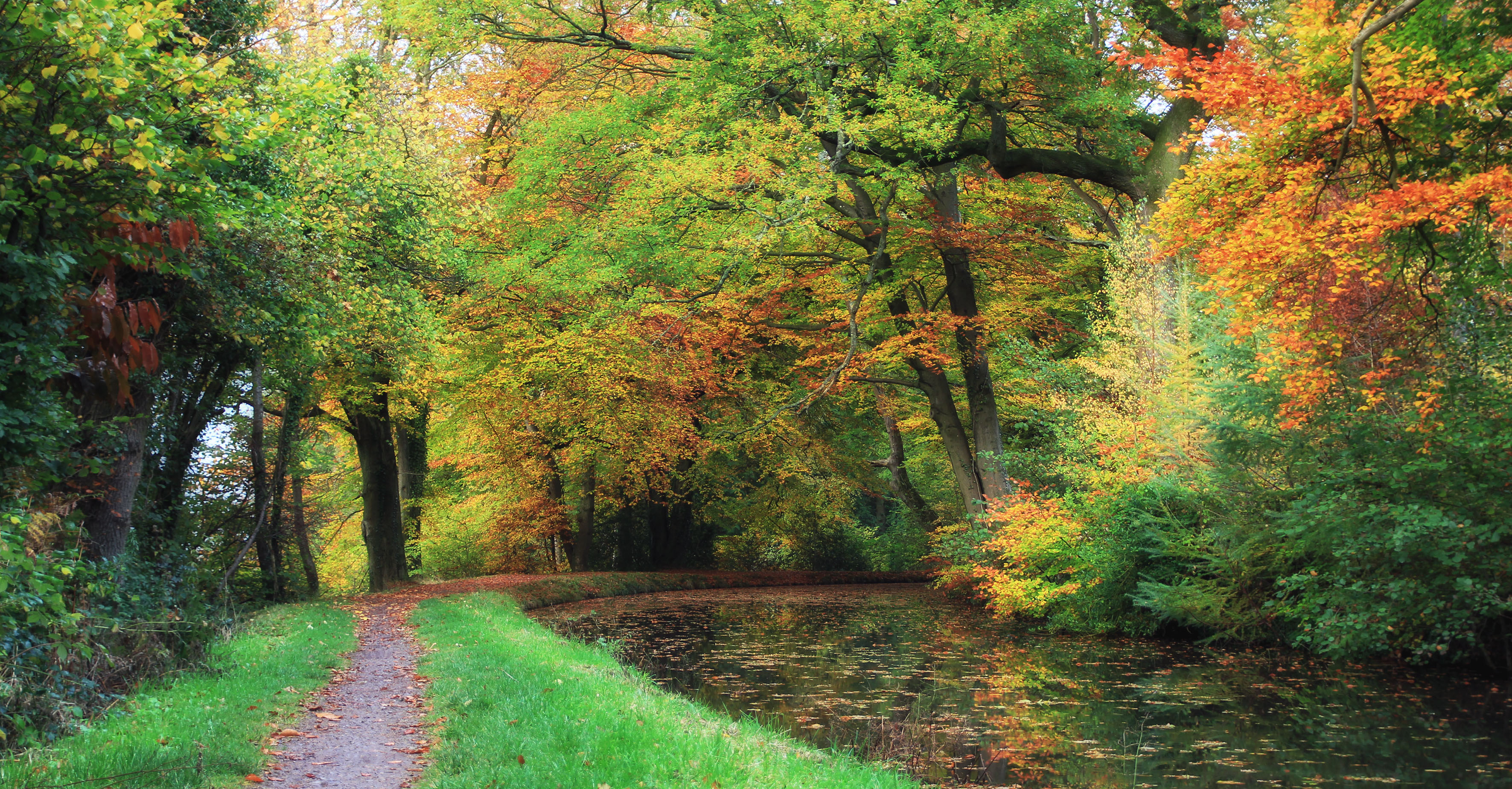 Handy-Wallpaper Herbst, Park, Baum, Fluss, Pfad, Fotografie kostenlos herunterladen.
