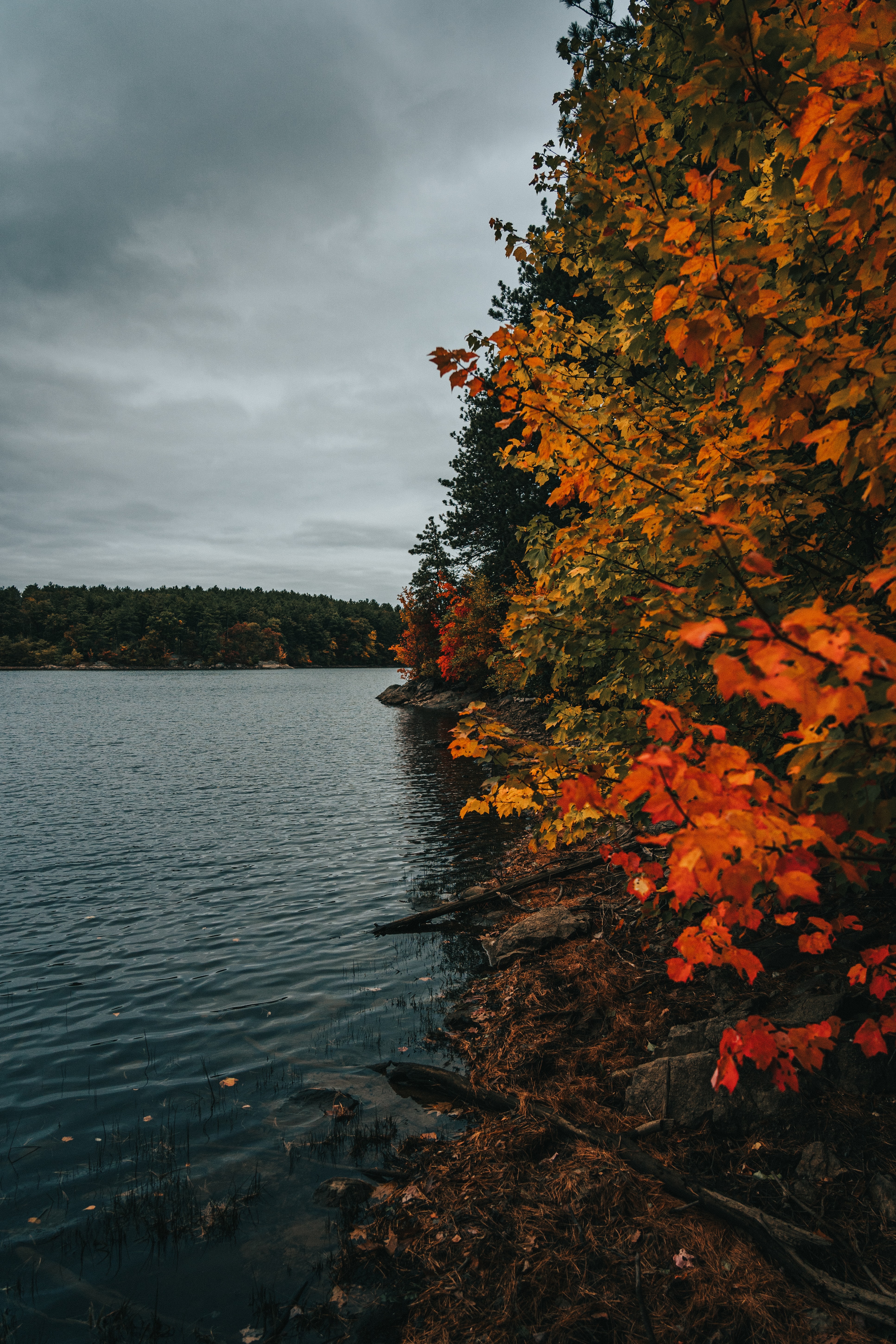 Free download wallpaper Nature, Trees, Lake, Coast, Autumn on your PC desktop