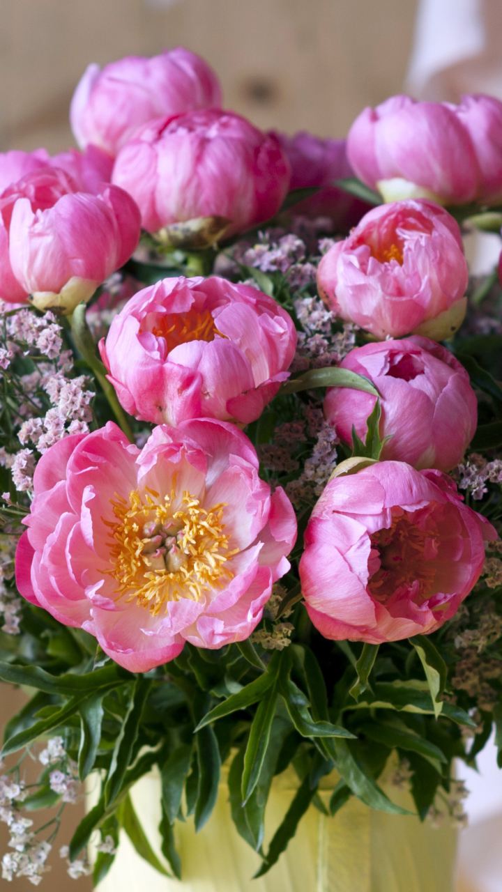 無料モバイル壁紙花, 花瓶, 牡丹, マンメイド, ピンクの花をダウンロードします。