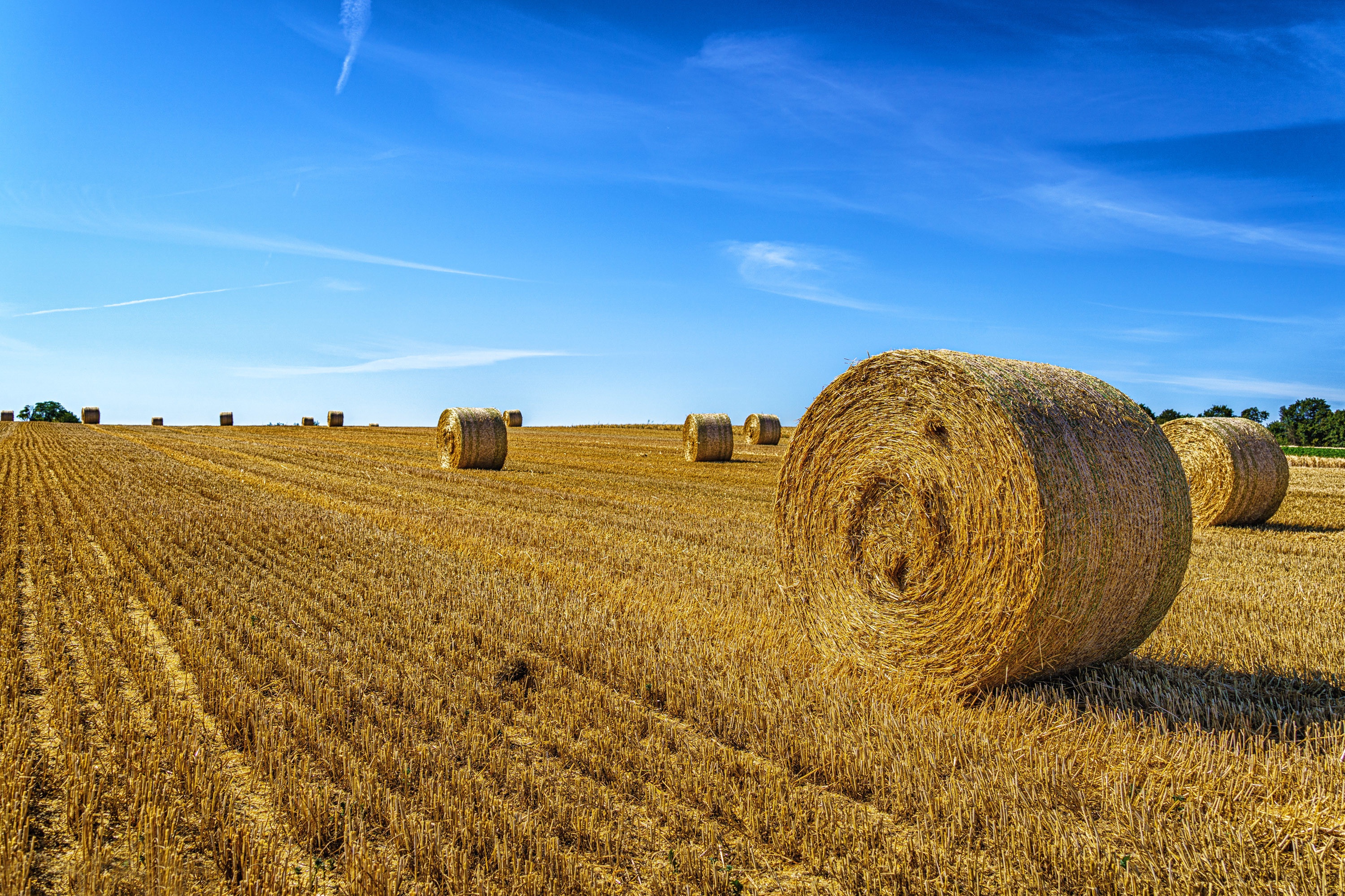 Download mobile wallpaper Sky, Earth, Field, Haystack for free.