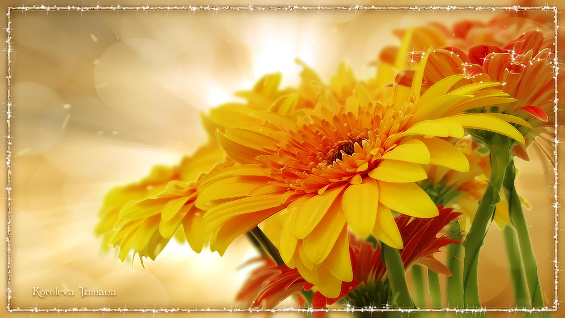 無料モバイル壁紙フラワーズ, ガーベラ, 花, 芸術的, 黄色い花をダウンロードします。