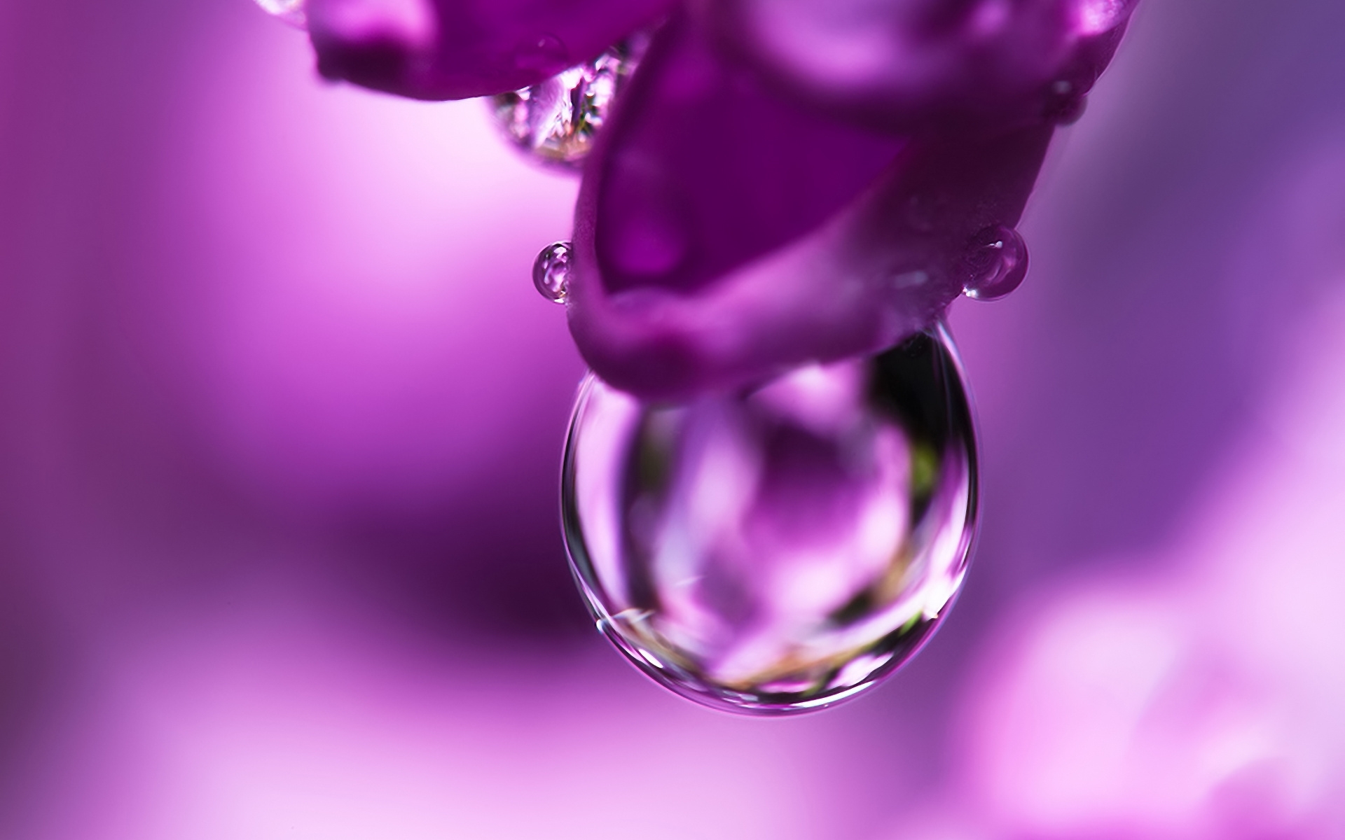Free download wallpaper Objects, Violet, Drops on your PC desktop