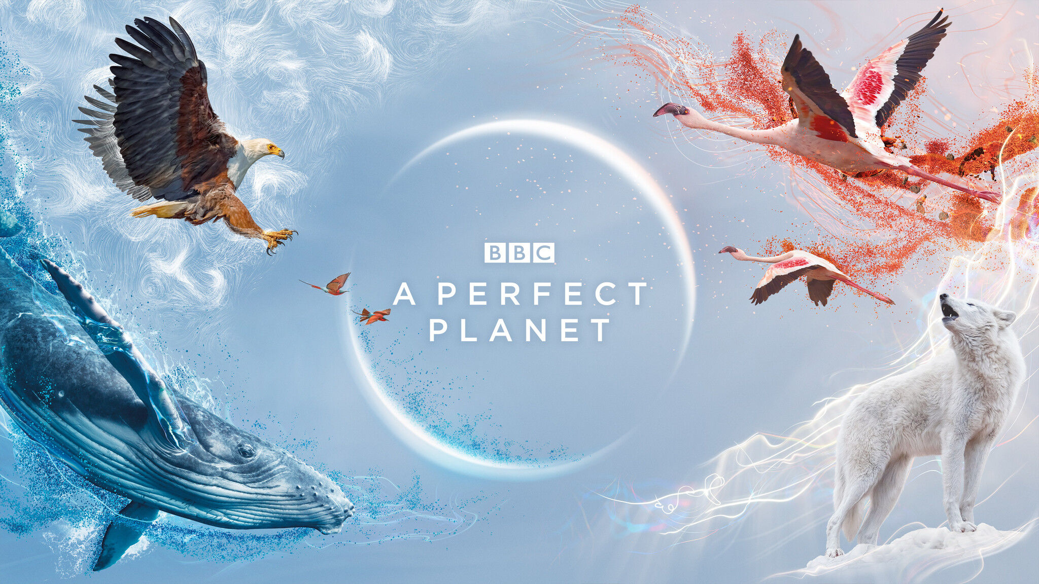 tv show, a perfect planet