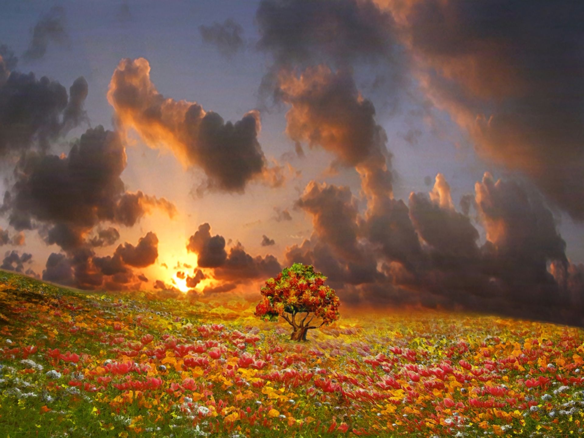 Free download wallpaper Fantasy, Flower, Tree, Field, Colors, Colorful, Artistic on your PC desktop