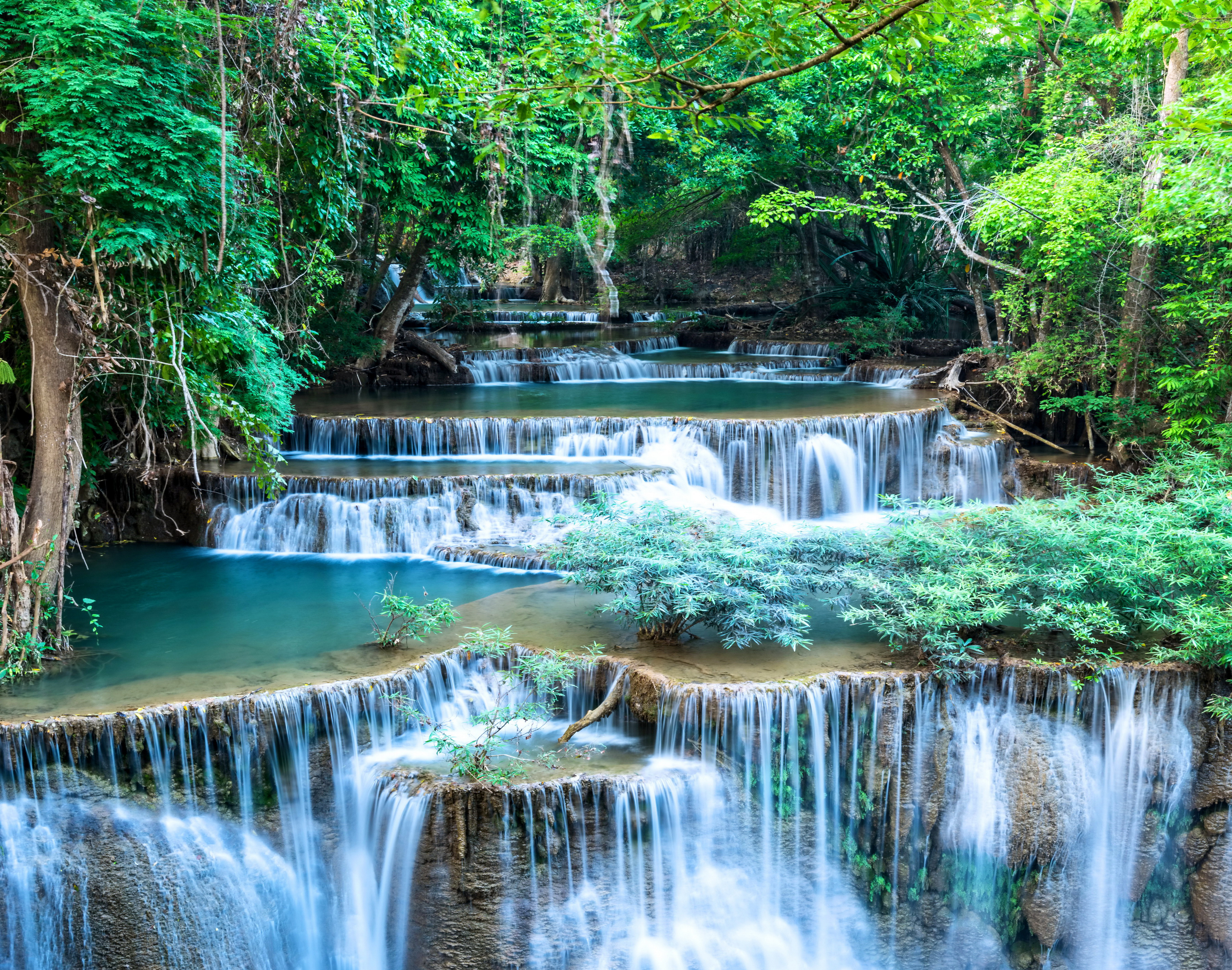 Download mobile wallpaper Waterfalls, Waterfall, Forest, Tree, Earth, Stone, Greenery for free.