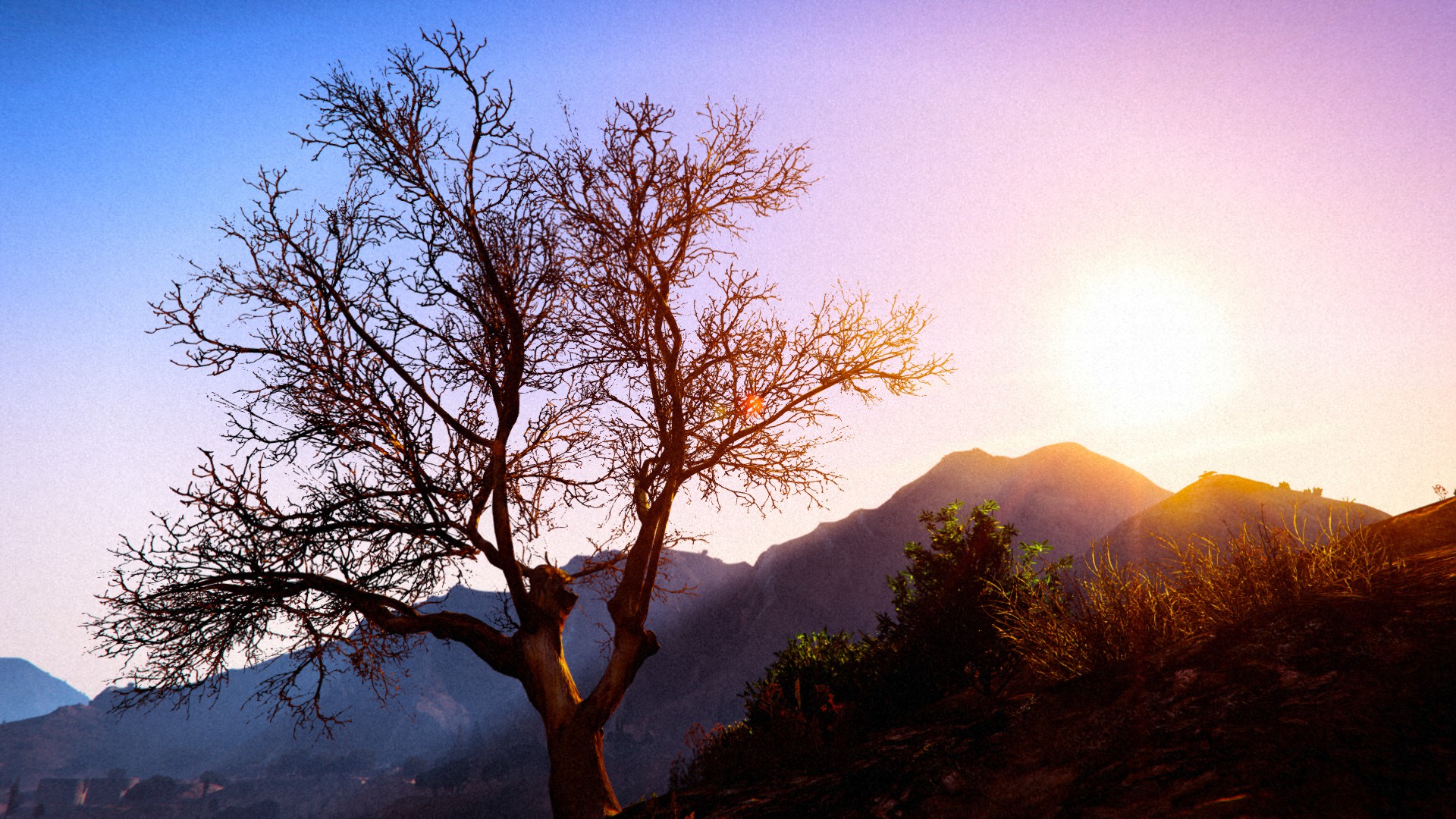 Free download wallpaper Sun, Mountain, Tree, Video Game, Grand Theft Auto, Grand Theft Auto V on your PC desktop