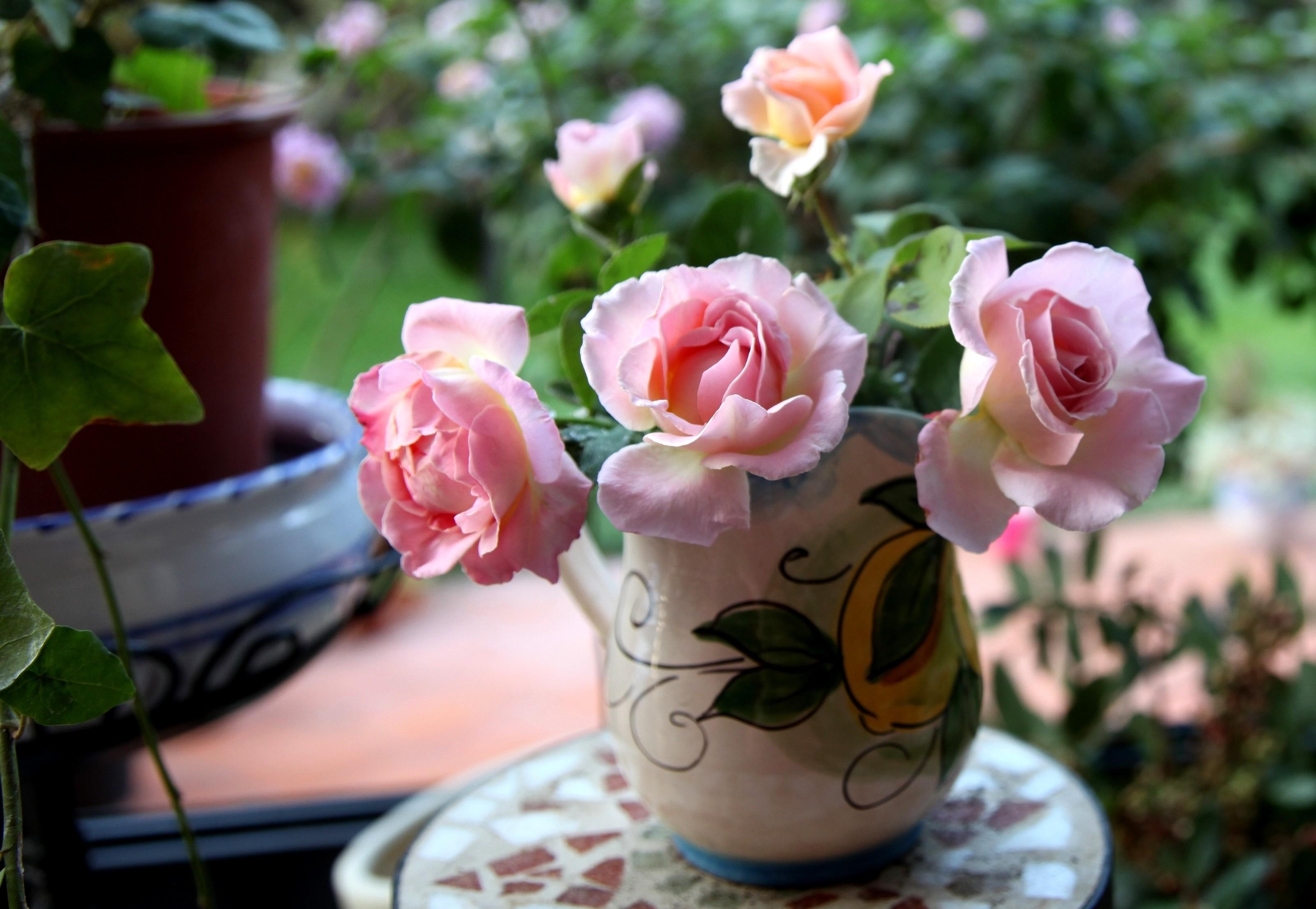 142751 завантажити картинку рози, квіти, букет, ваза, різкість - шпалери і заставки безкоштовно
