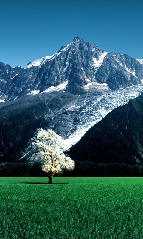 Handy-Wallpaper Gebirge, Berge, Erde/natur kostenlos herunterladen.