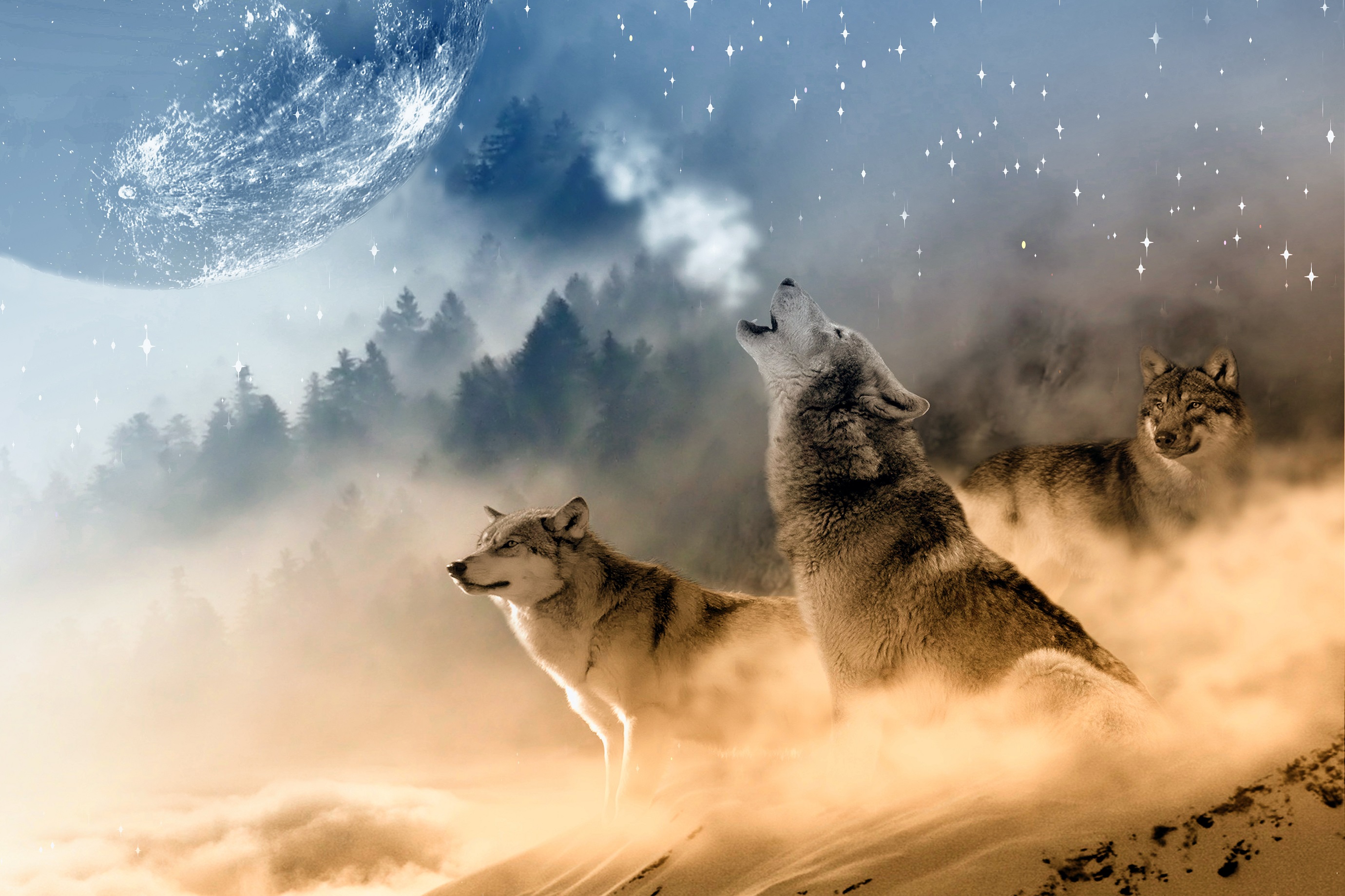 Download mobile wallpaper Fantasy, Moon, Wolf, Animal, Wolves for free.