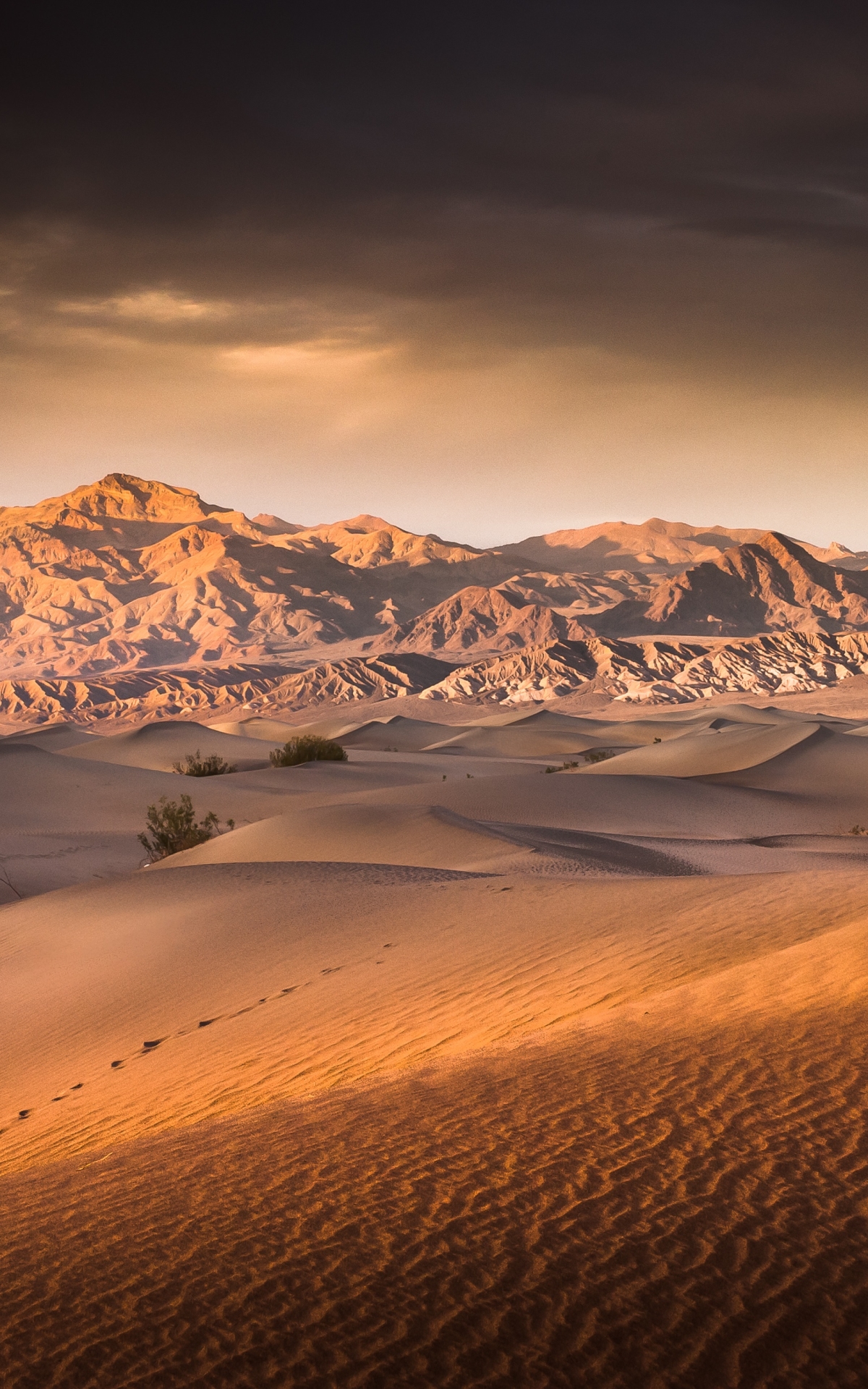 Скачать картинку Пейзаж, Природа, Песок, Пустыня, Дюна, Ландшафт, Земля/природа в телефон бесплатно.