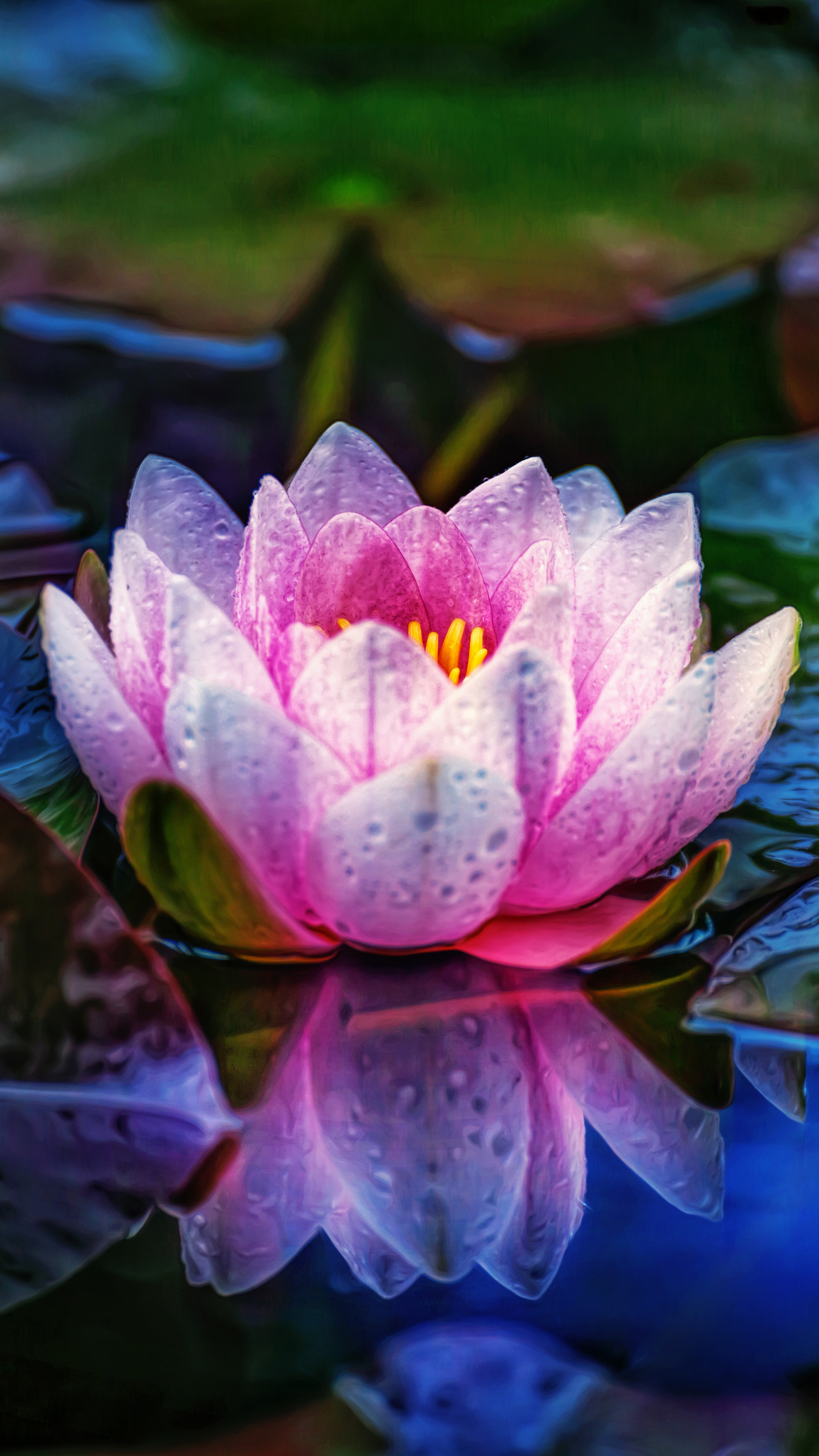 Download mobile wallpaper Flowers, Reflection, Macro, Leaf, Earth, Dew, Water Lily, Pink Flower for free.