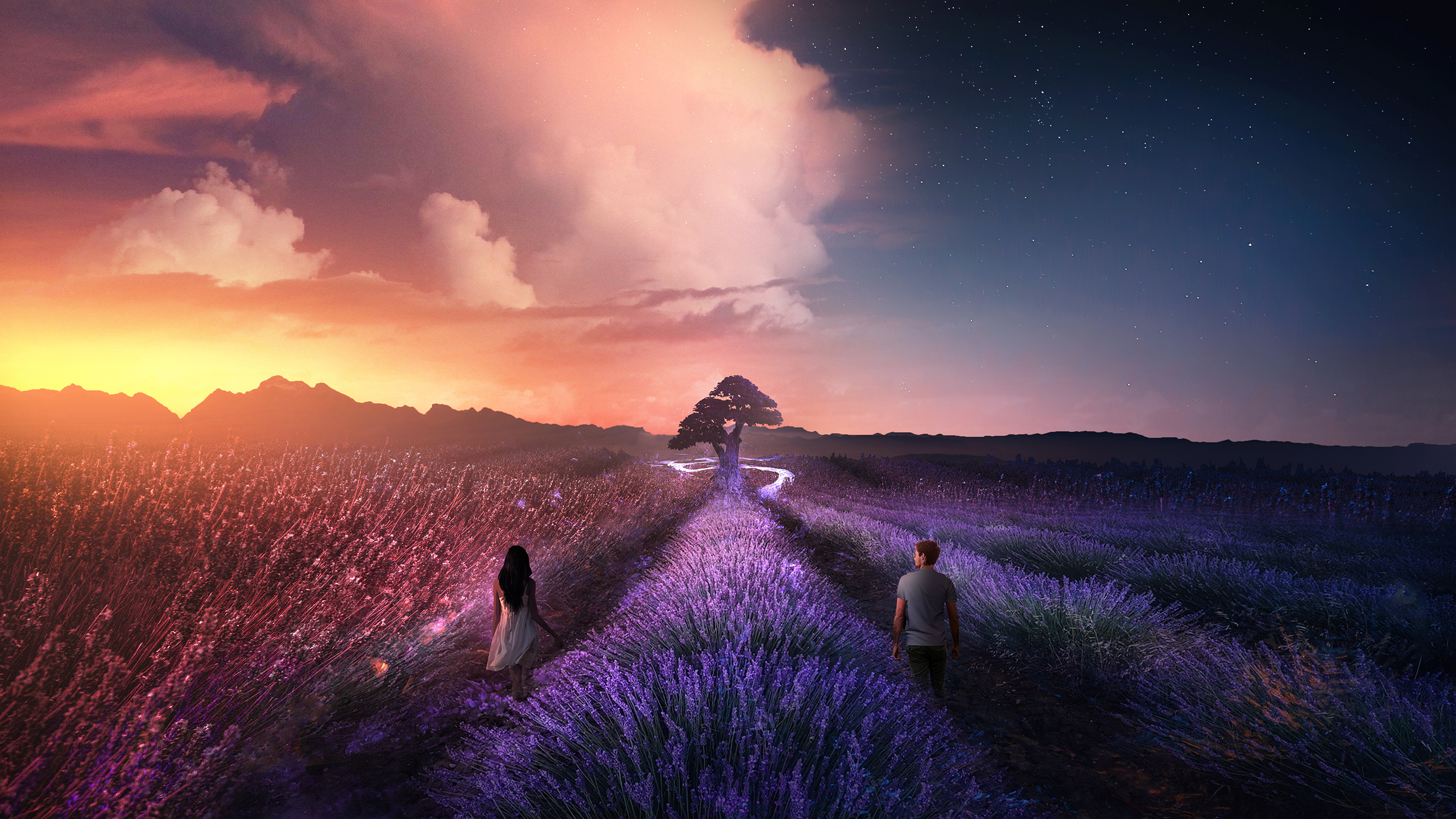 Laden Sie das Fantasie, Liebe, Paar, Feld, Lavendel, Nacht-Bild kostenlos auf Ihren PC-Desktop herunter
