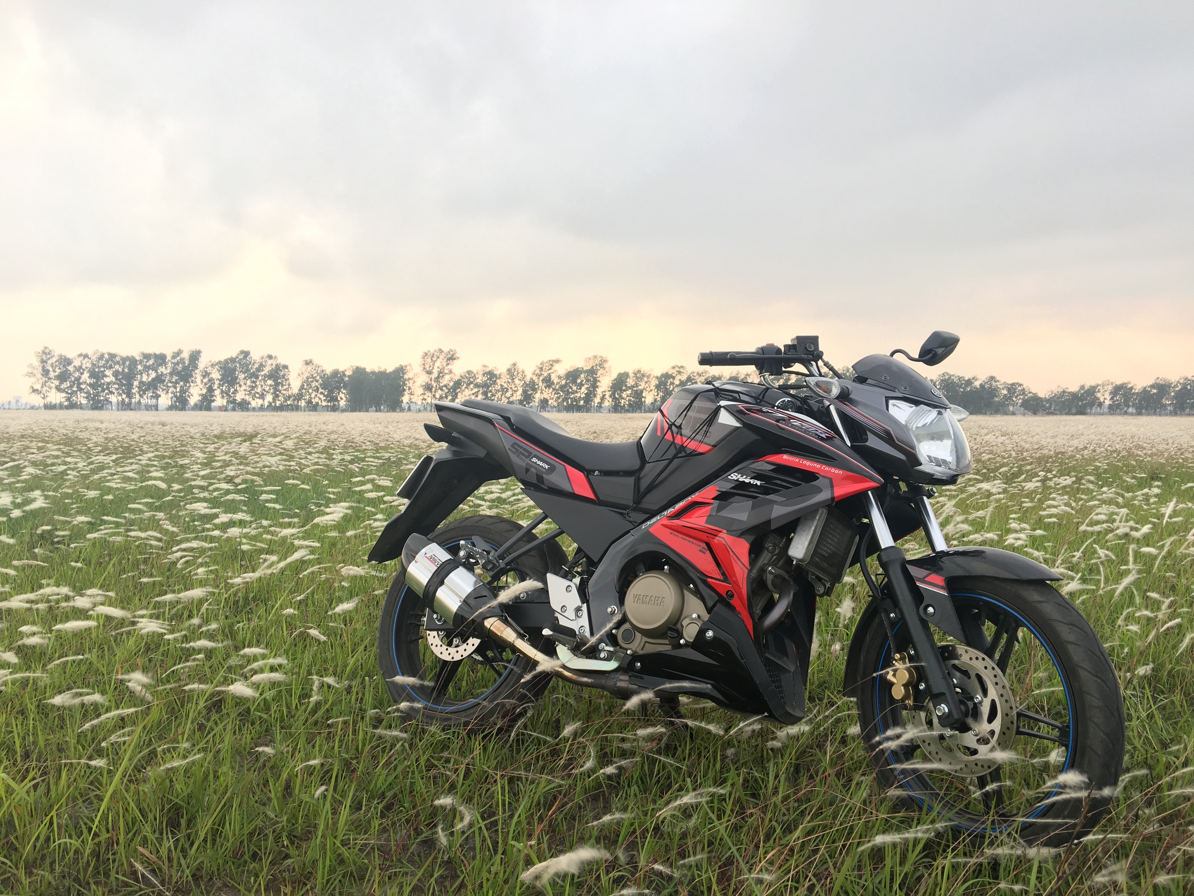 Free download wallpaper Grass, Field, Side View, Motorcycles, Motorcycle, Sports, Bike on your PC desktop