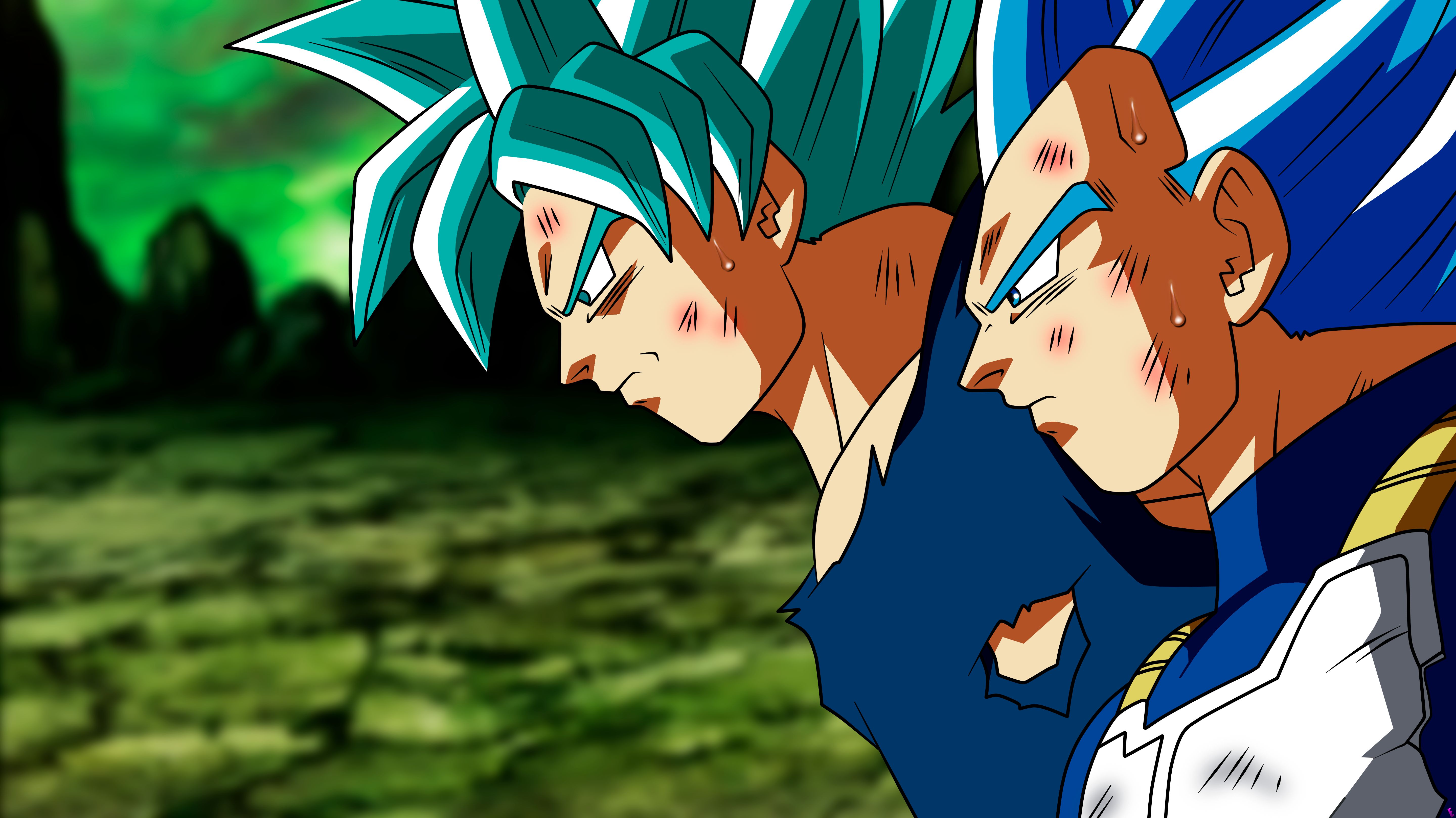 Download mobile wallpaper Anime, Dragon Ball, Goku, Vegeta (Dragon Ball), Dragon Ball Super for free.