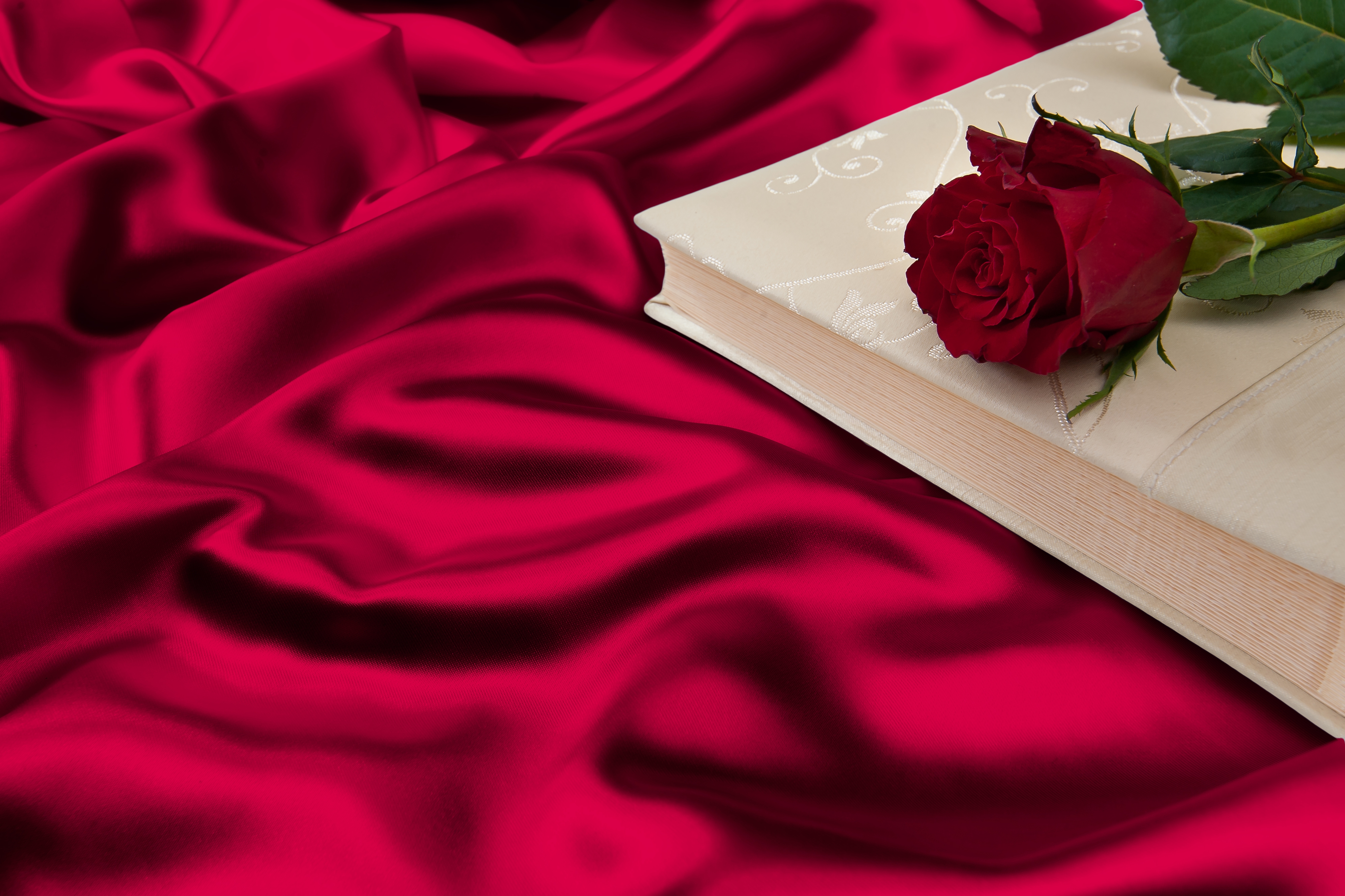 red flower, photography, still life, book, rose, silk