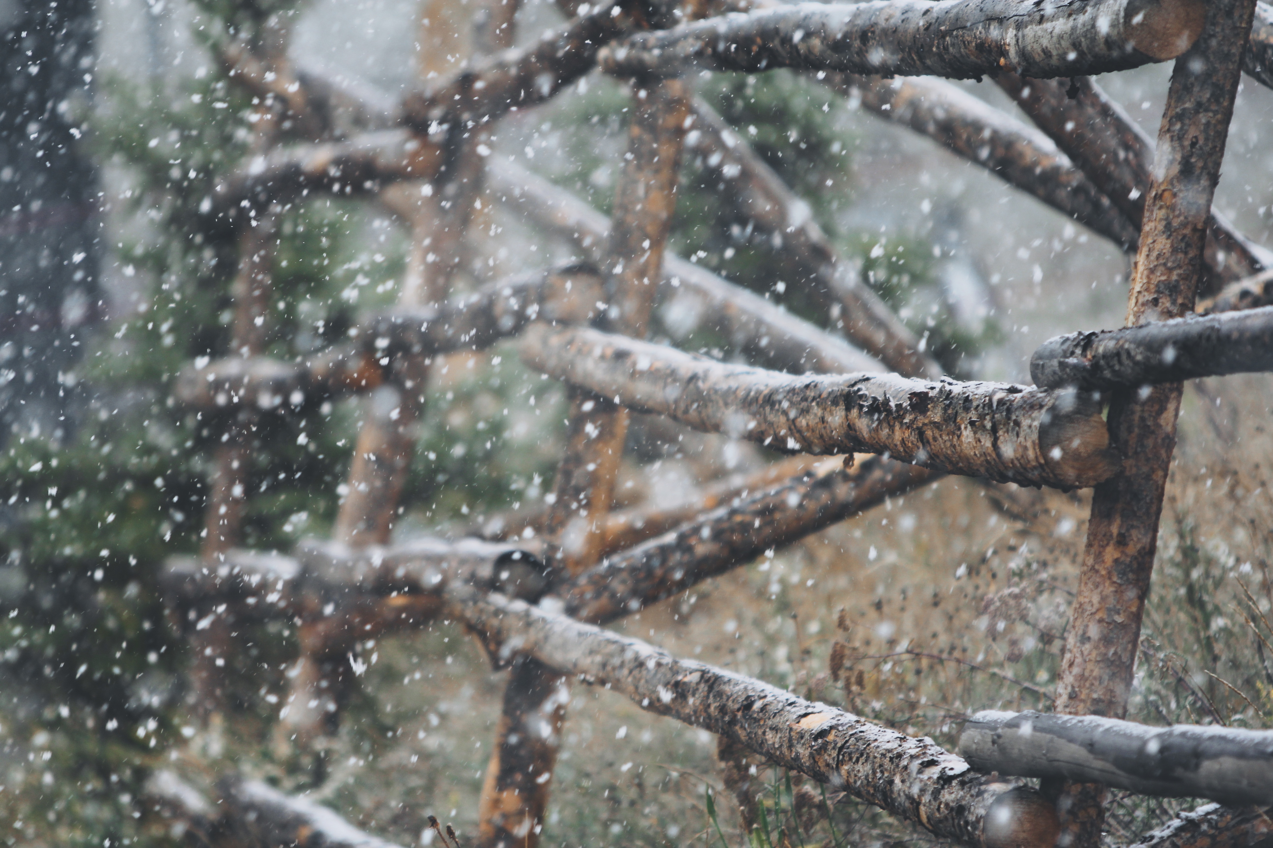 Download mobile wallpaper Snow, Blur, Close Up, Fence, Snowfall, Man Made for free.