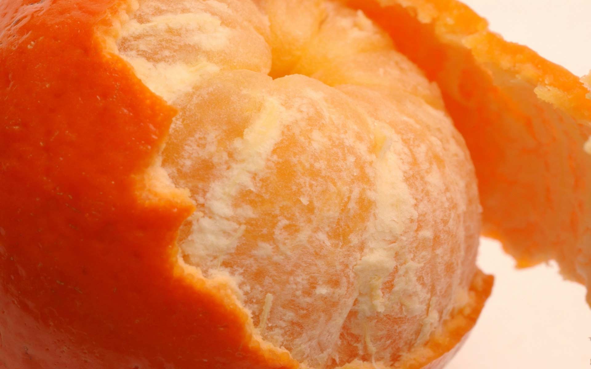 288504 baixar papel de parede comida, tangerina, frutas - protetores de tela e imagens gratuitamente