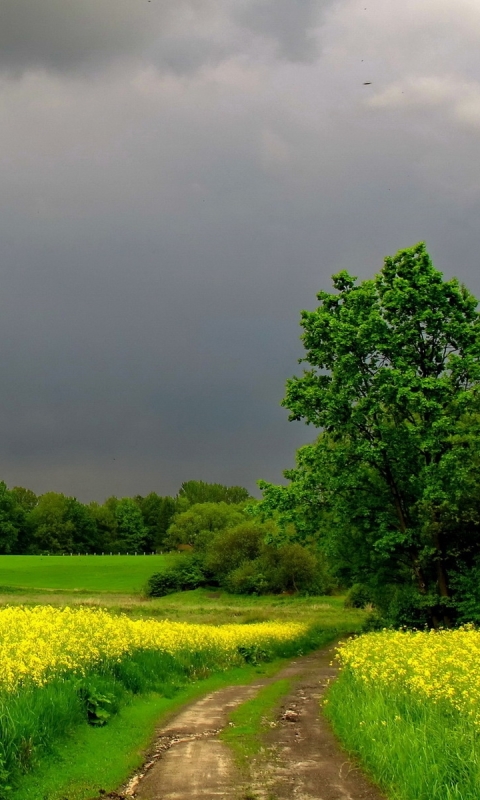 green, earth, field, road, tree, country, cloud Aesthetic wallpaper
