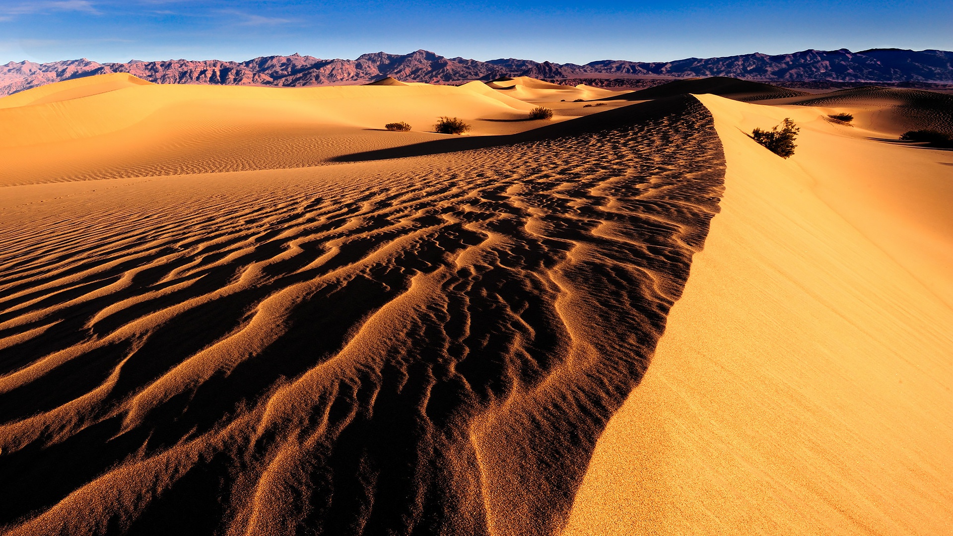 Скачать картинку Природа, Песок, Пустыня, Дюна, Земля/природа в телефон бесплатно.