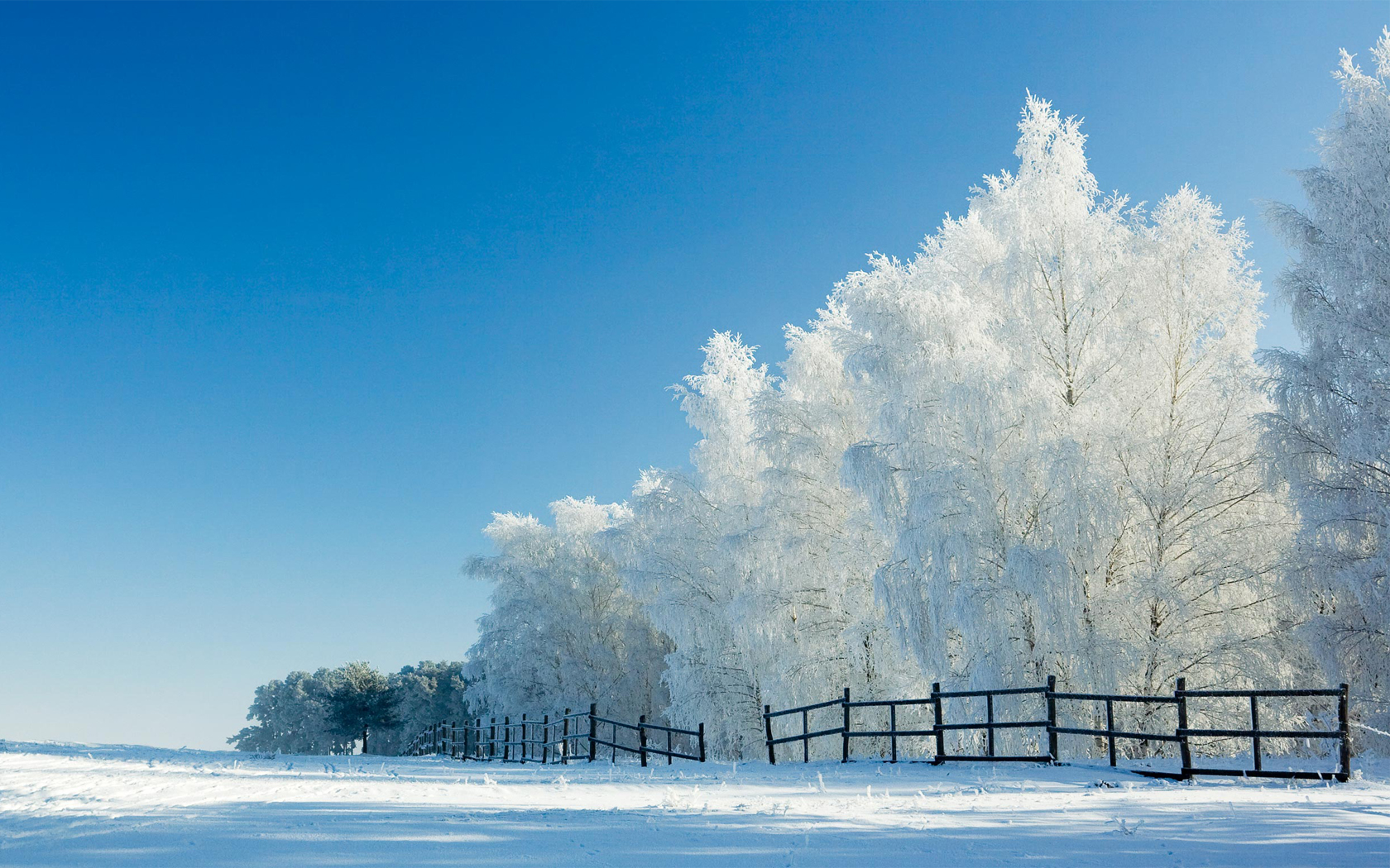 Téléchargez gratuitement l'image Hiver, Photographie sur le bureau de votre PC