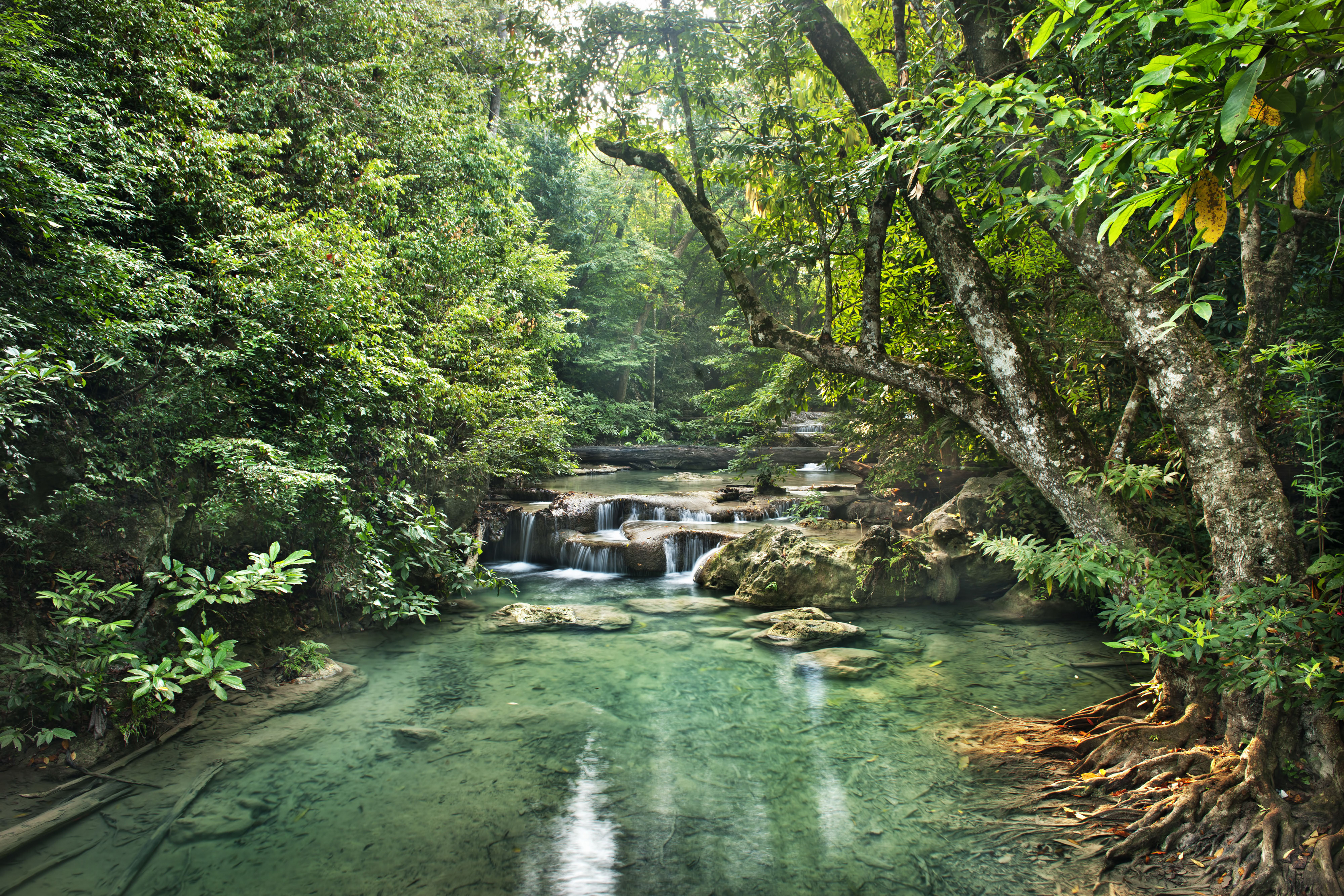 Handy-Wallpaper Natur, Wald, Fluss, Erde/natur kostenlos herunterladen.