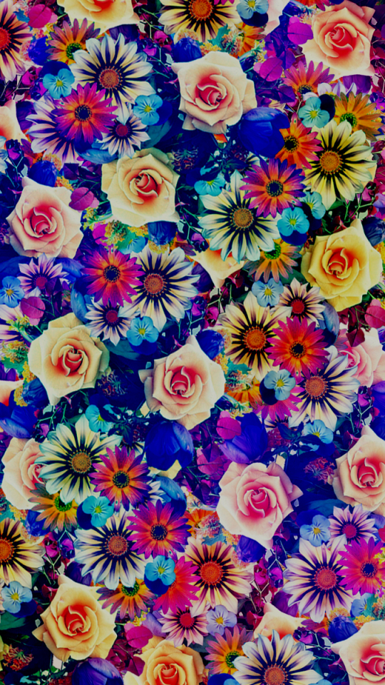 Handy-Wallpaper Blumen, Blume, Farben, Bunt, Künstlerisch kostenlos herunterladen.