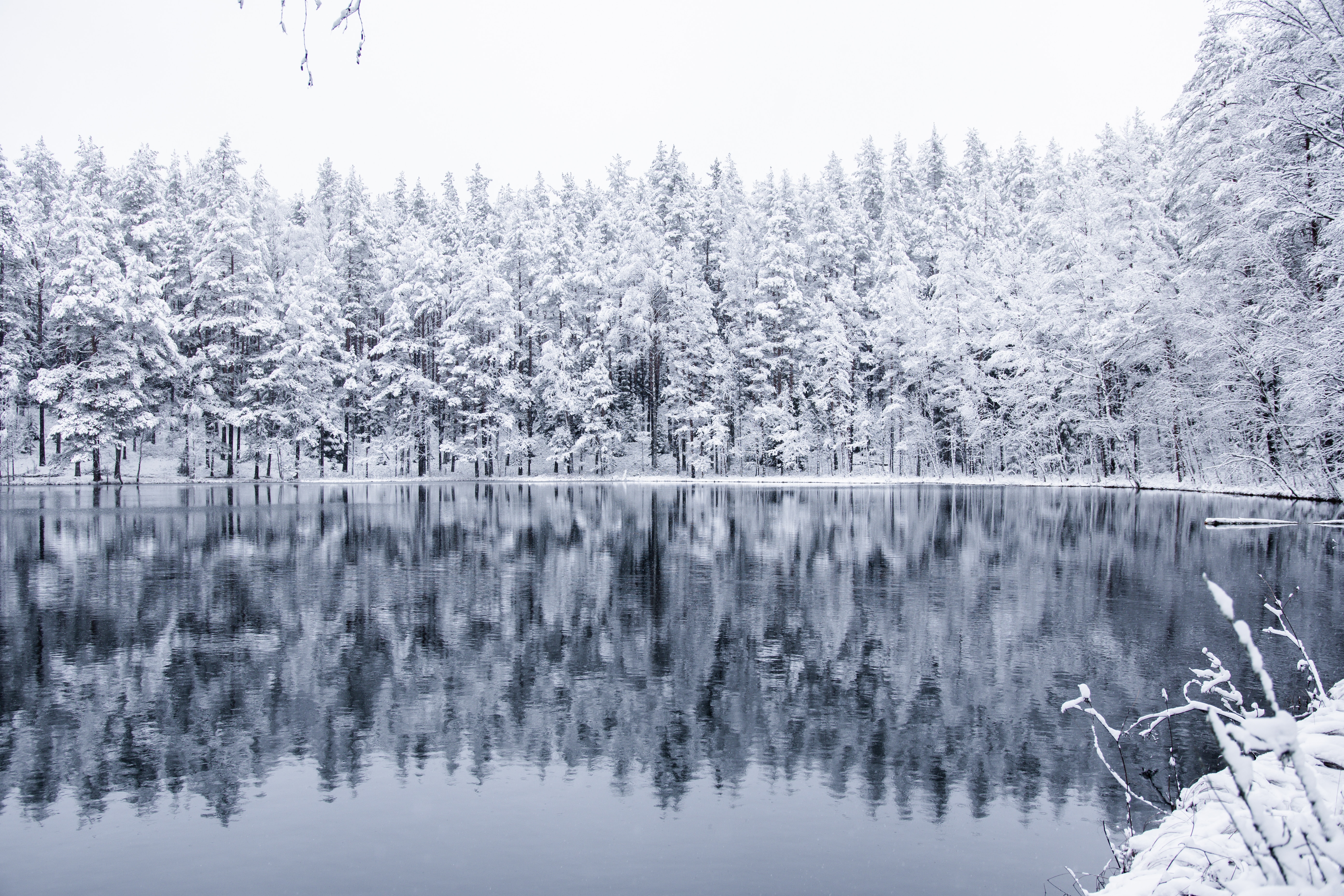 Скачать картинку Снег, Зима, Отражение, Лес, Озеро, Природа в телефон бесплатно.