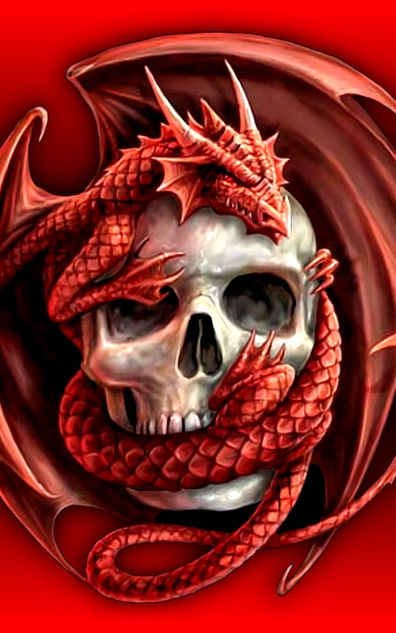 Download mobile wallpaper Dark, Dragon, Skull for free.