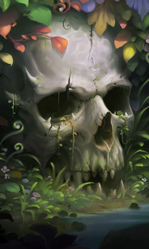 Download mobile wallpaper Dark, Skull for free.